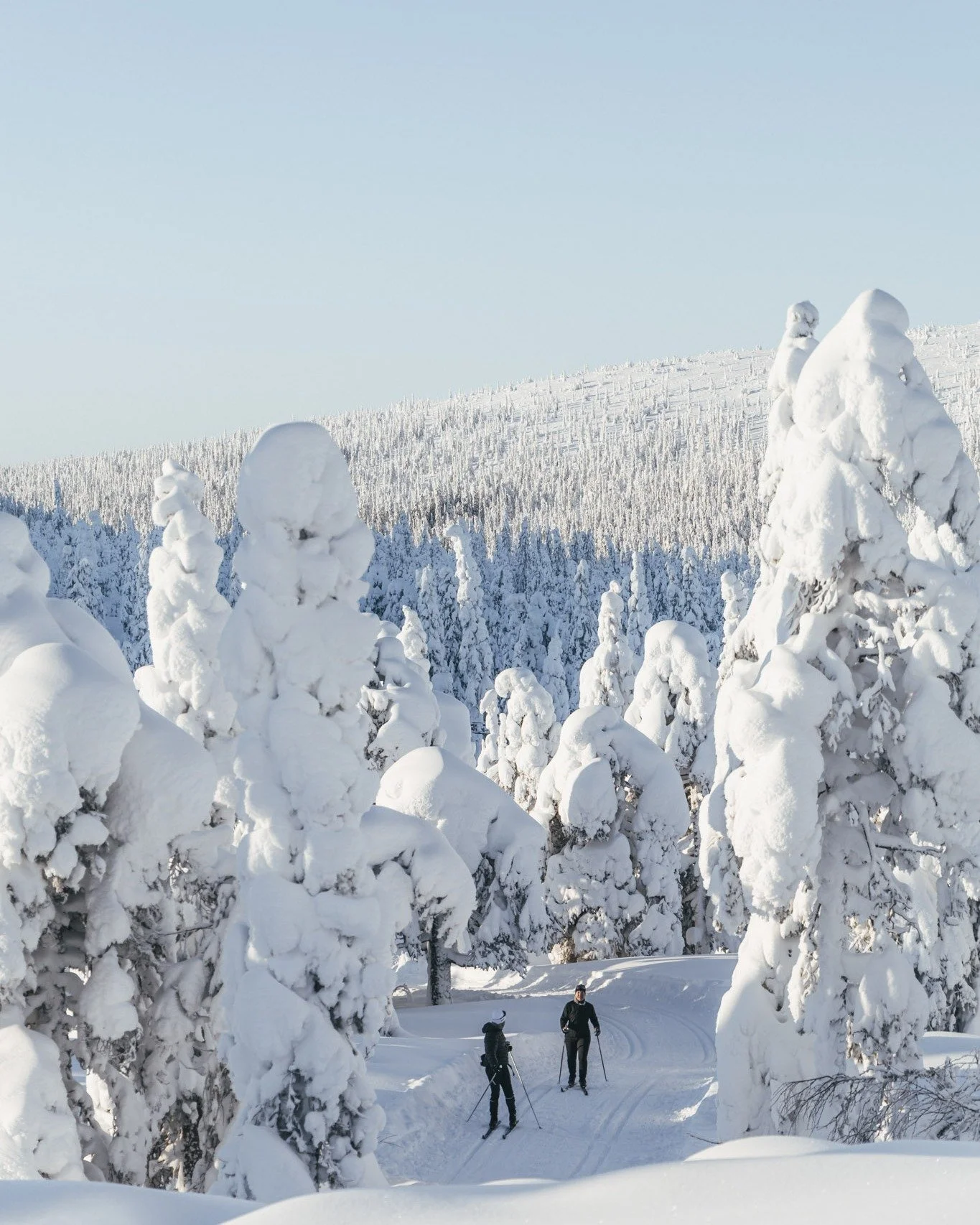 Sportlov beh&ouml;ver inte alltid vara hetsigt 🥰
Hos oss finns fortfarande boende kvar kommande f&ouml;r dig som vill komma upp och uppleva fj&auml;llen i lugnare tempo.
Hundspann och skid&aring;kning i alla former precis utanf&ouml;r d&ouml;rren oc