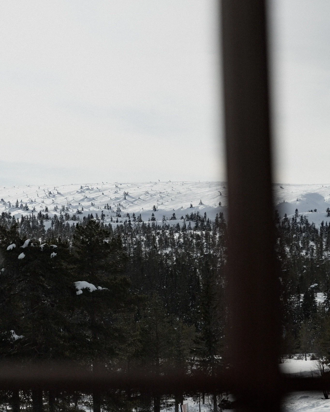 T&auml;nk att vi redan &auml;r inne i mars m&aring;nad 🌞🌷
Varmt v&auml;lkomna till oss i v&aring;r d&auml;r fj&auml;llhistorien sitter i v&auml;ggarna och smakerna &auml;r lika genuina som omgivningen 💛

L&auml;s mer p&aring; gammelgarden.se