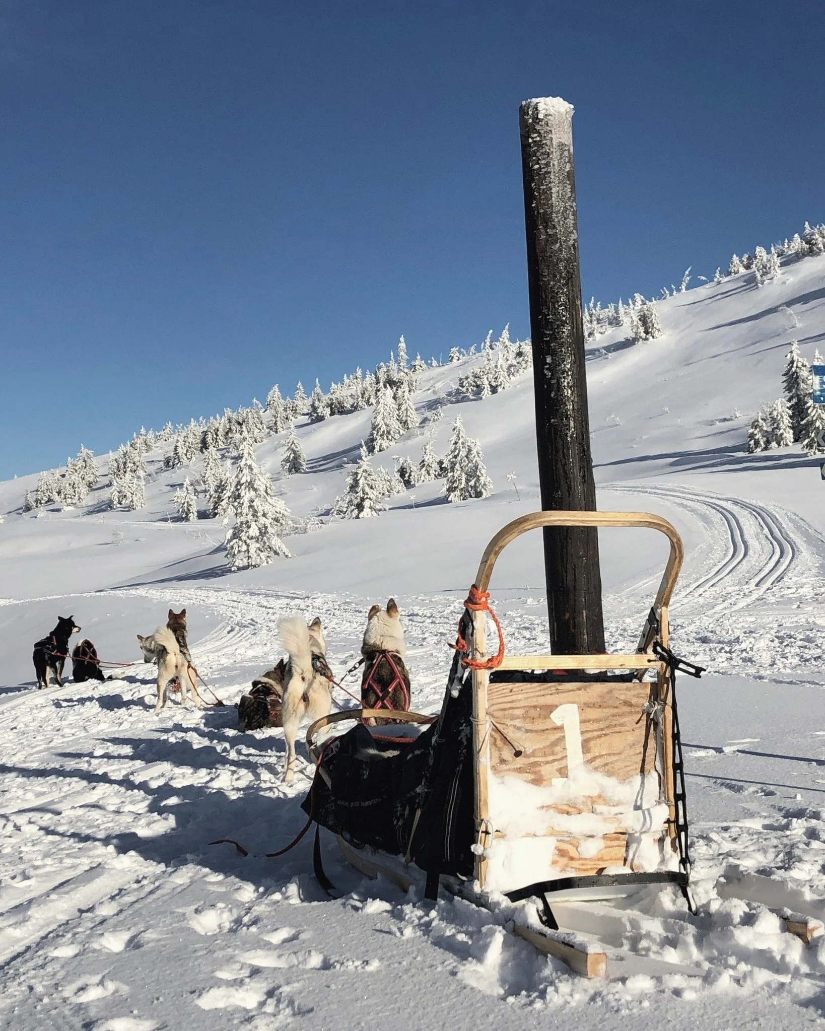 T&auml;nk att vi f&aring;tt vinter igen&hellip; och igen&hellip; och igen! 🤭🤭
Den h&auml;r p&aring;sken ser ut att bjuda p&aring; b&aring;de sol och sn&ouml;.

Det &auml;r n&aring;got speciellt med att k&ouml;ra upp fr&aring;n byn i S&auml;len d&au