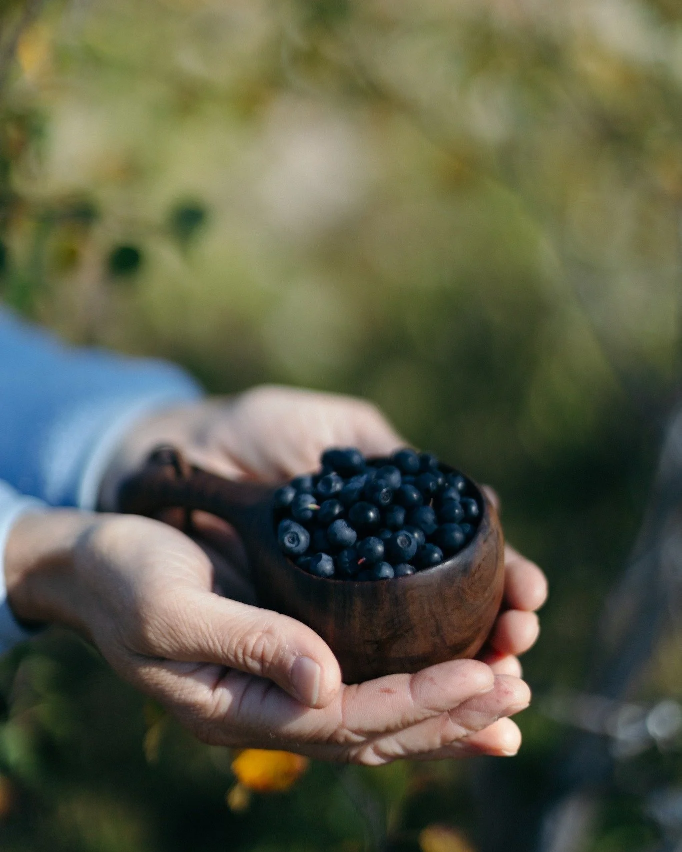 Det &auml;r en magisk tid p&aring; fj&auml;llet just nu med v&aring;rvinter, sol och fina dagar i sp&aring;ret. Men h&auml;r b&ouml;rjar vi ocks&aring; l&auml;ngta lite efter sommaren p&aring; g&aring;rden 🌿

Det d&auml;r lugnet som infinner sig n&a