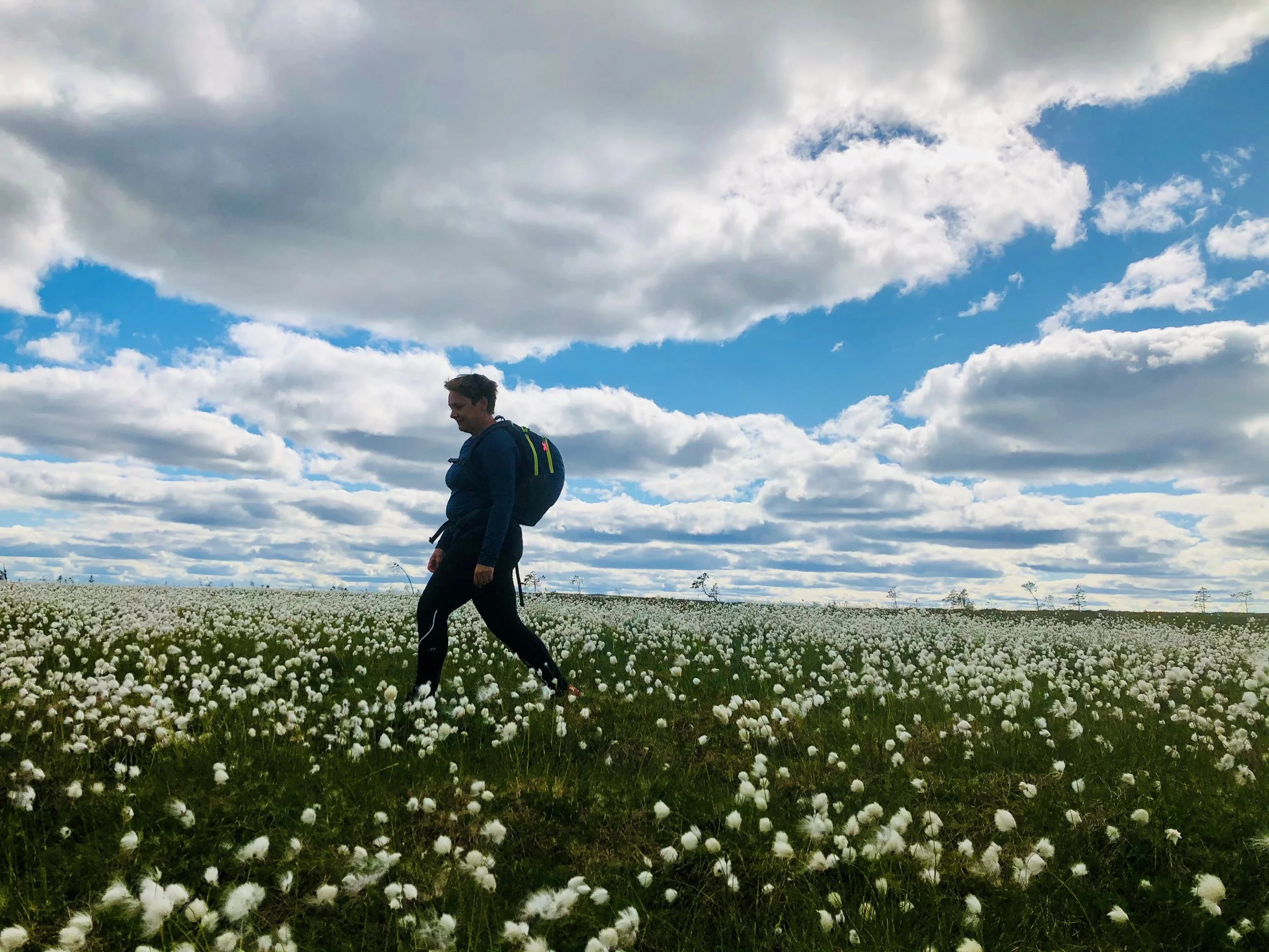 Fjället.jpg