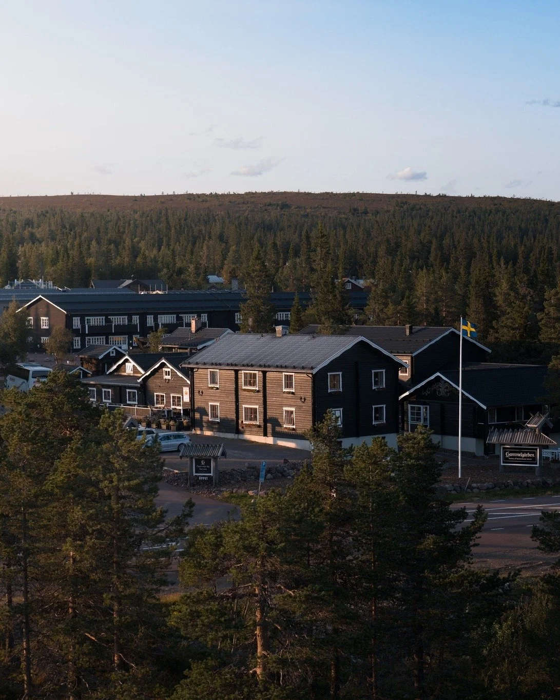 T&auml;nk att vi snart &auml;r d&auml;r! Man b&ouml;rjar verkligen ana att sommaren &auml;r p&aring; v&auml;g nu, och fj&auml;llet har skiftat s&aring; s&aring; fint i gr&ouml;nt nu och hjortronblommen &auml;r s&aring; fina 🌿

Den 12 juni &auml;r de