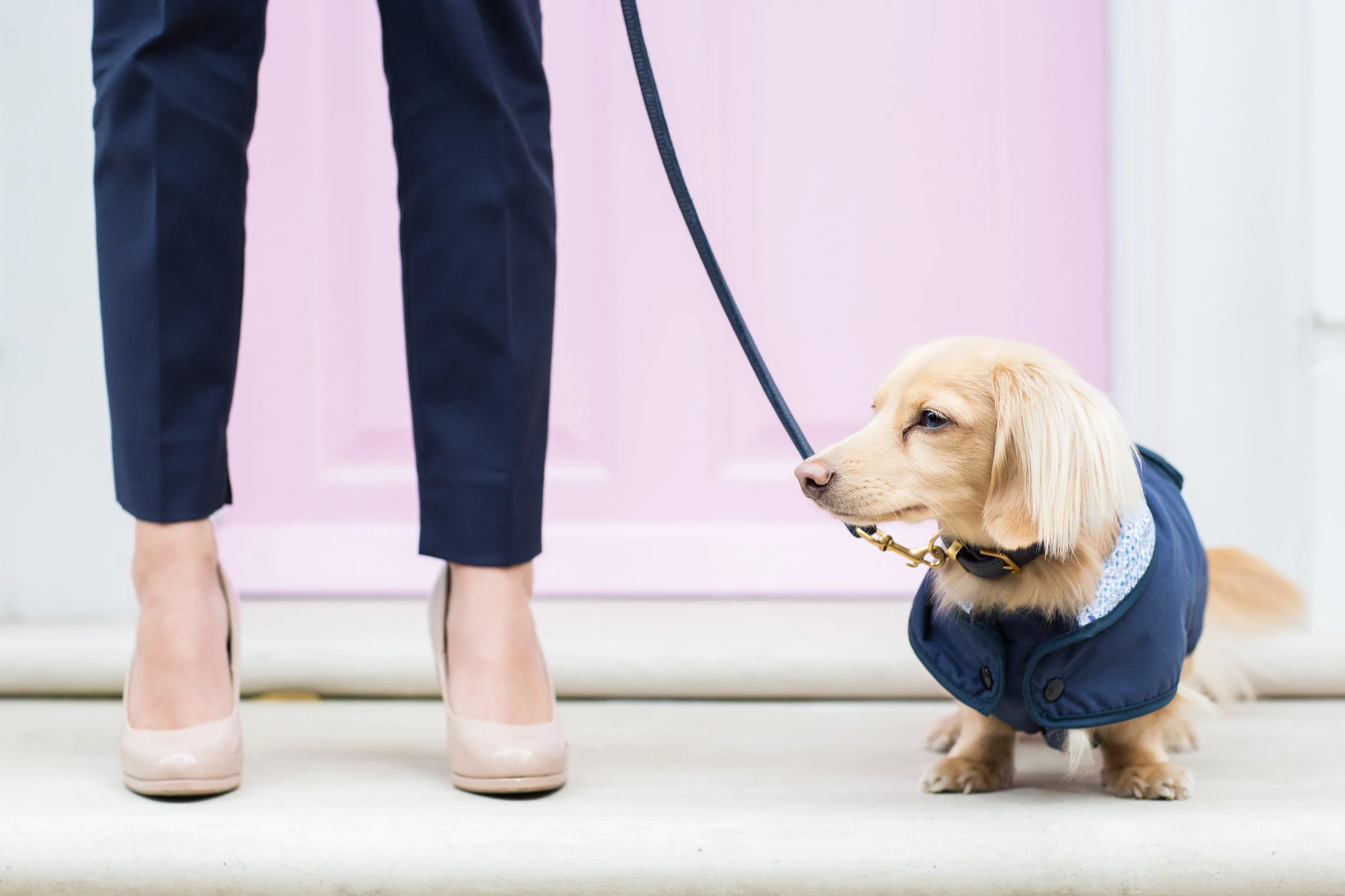 TeddyMaximus-128.jpg
