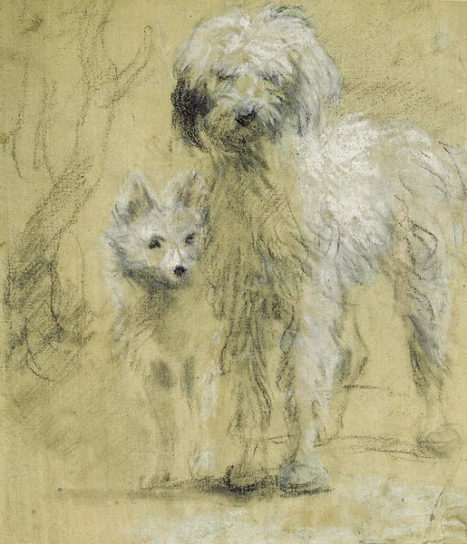 Tristram and Fox