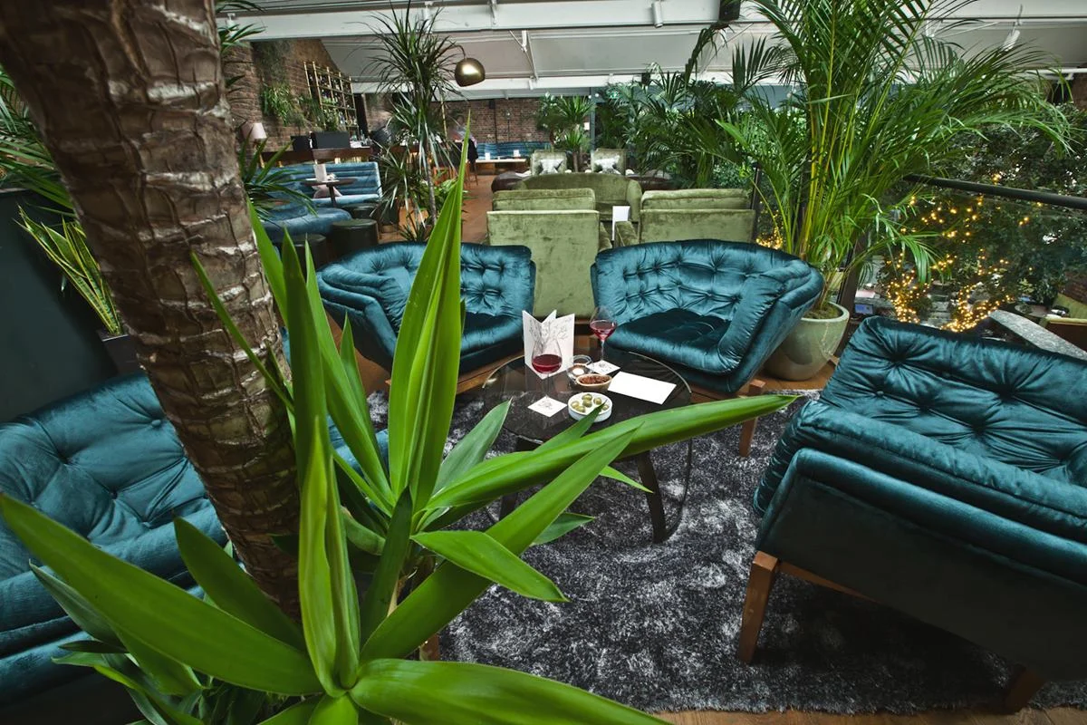 The Living room.jpg