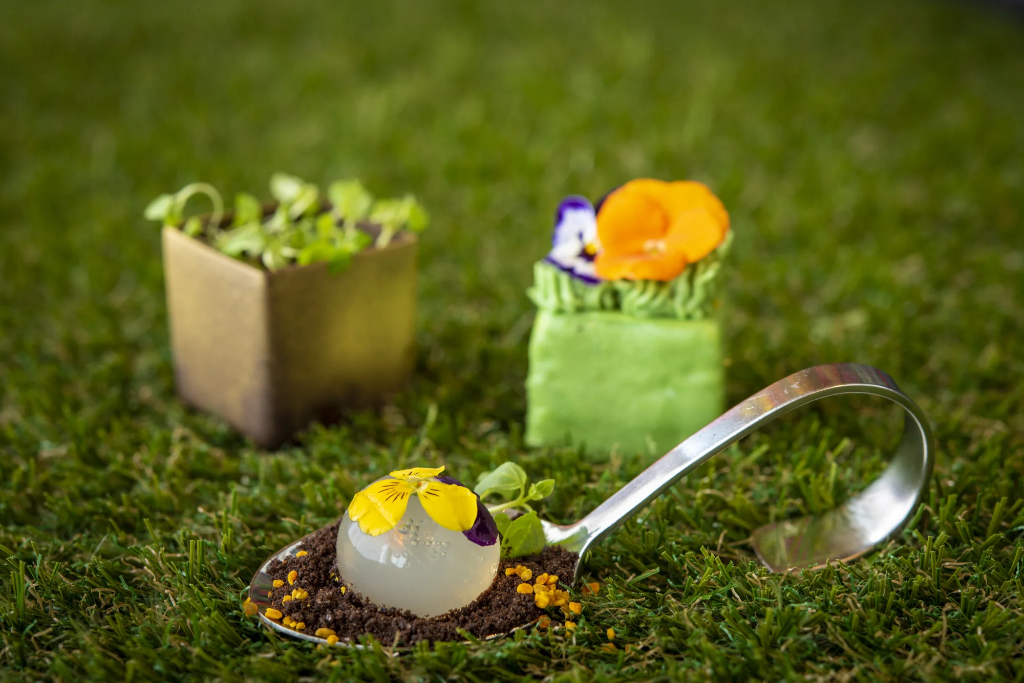 Spring Planter, Queen Bee & Dew Drop