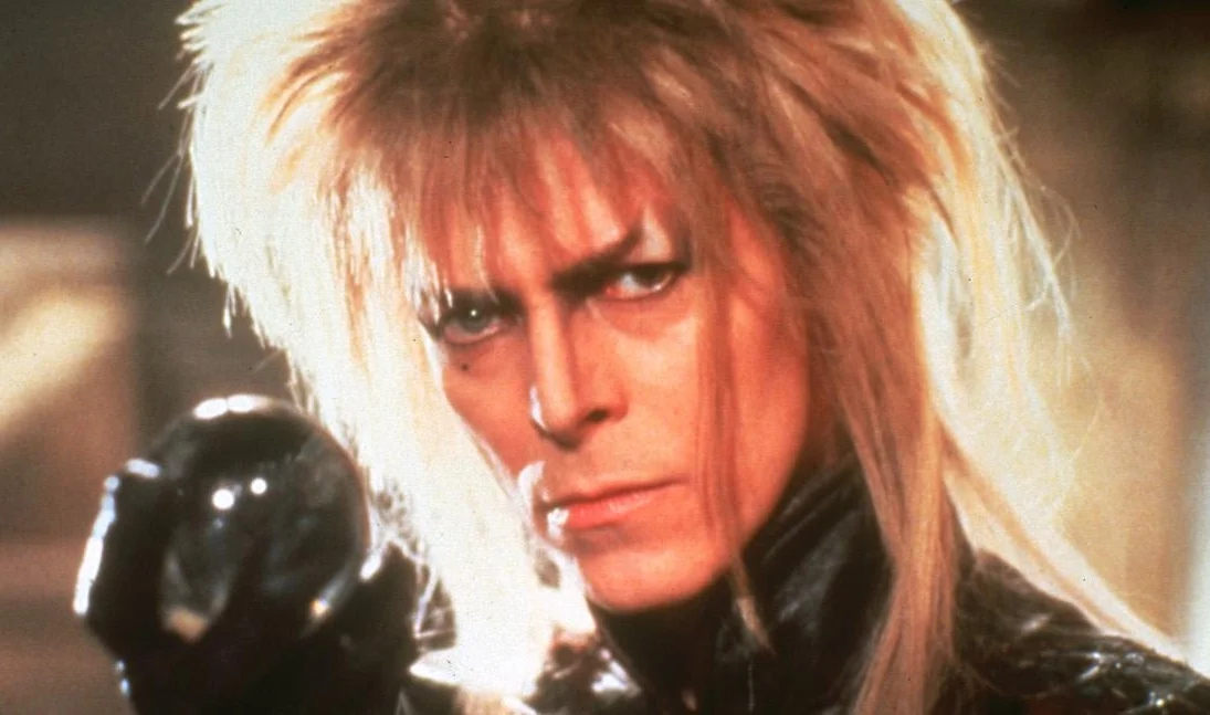 'Labyrinth is in many ways a remarkable achievement.' -New York Times