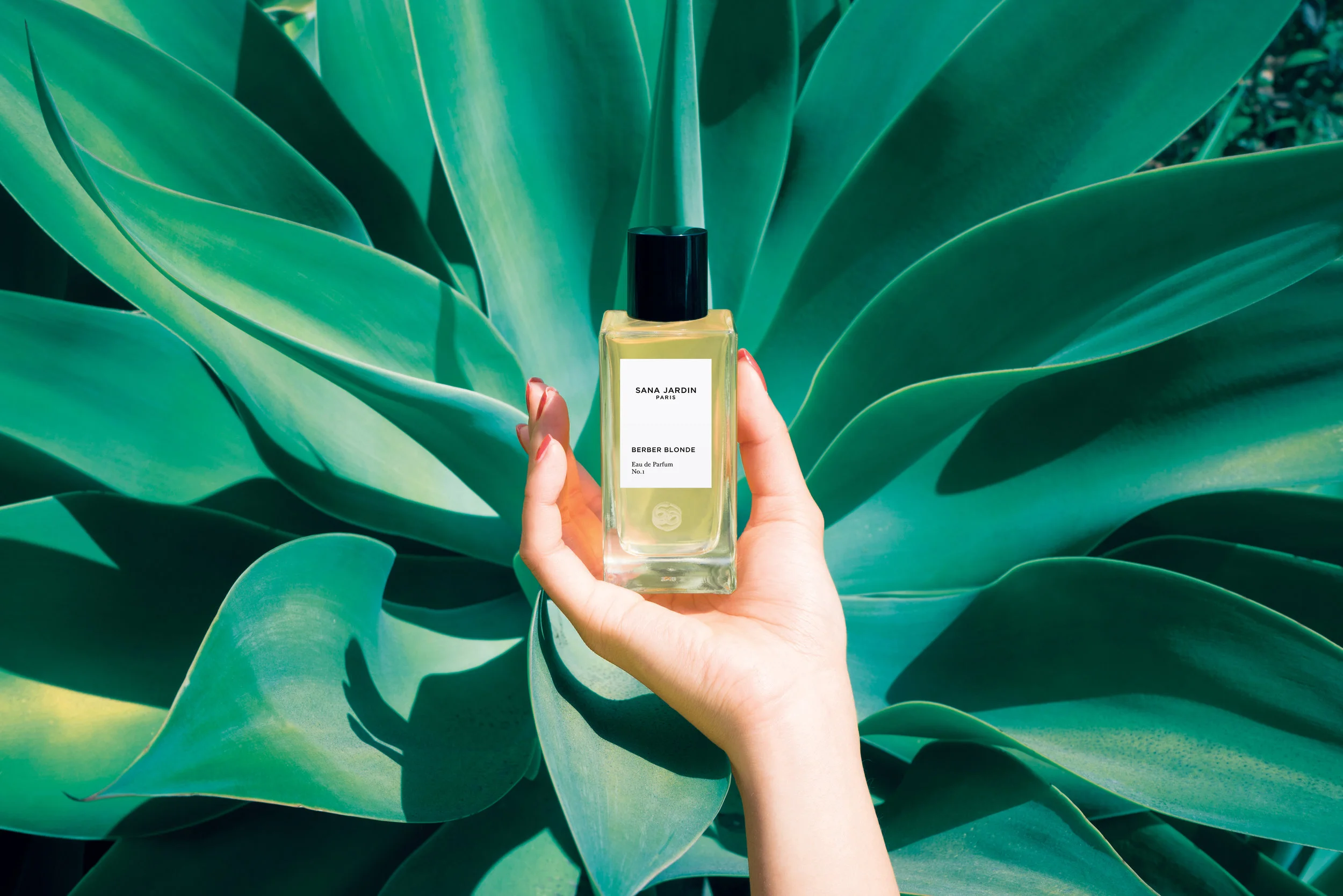 1. SJ-Agave-Berber-Blonde.jpg