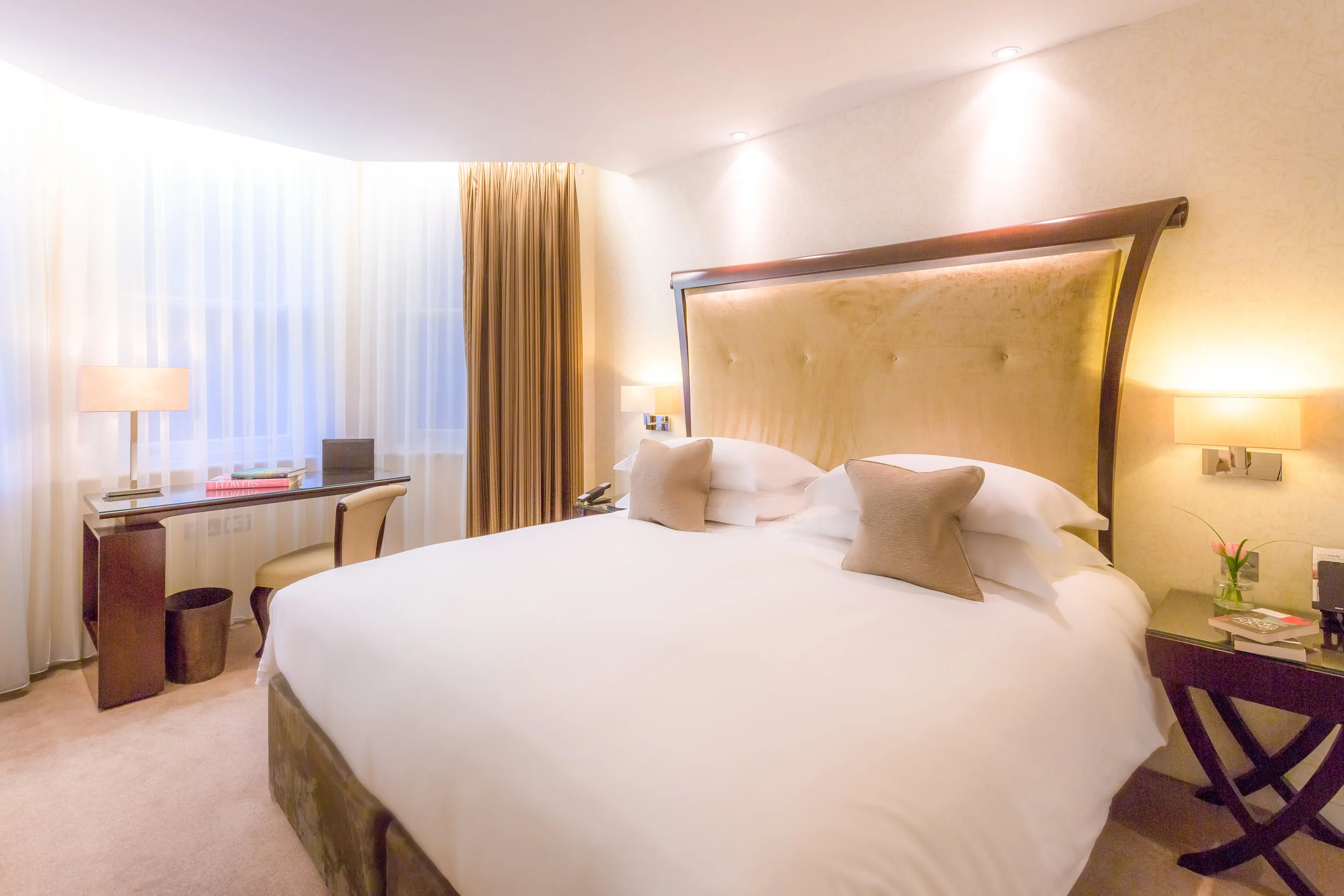 JuniorSuite(300ppi)-3.jpg