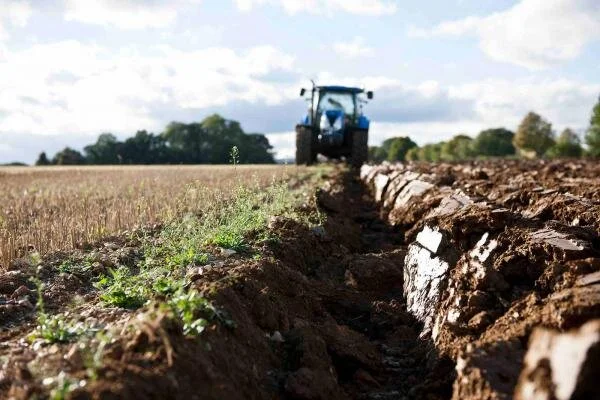 Rothamsted image.jpg
