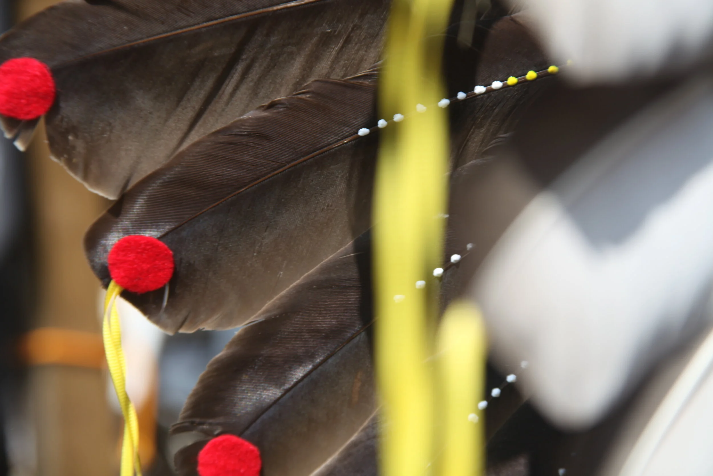 Powwow Committee Seeking Members