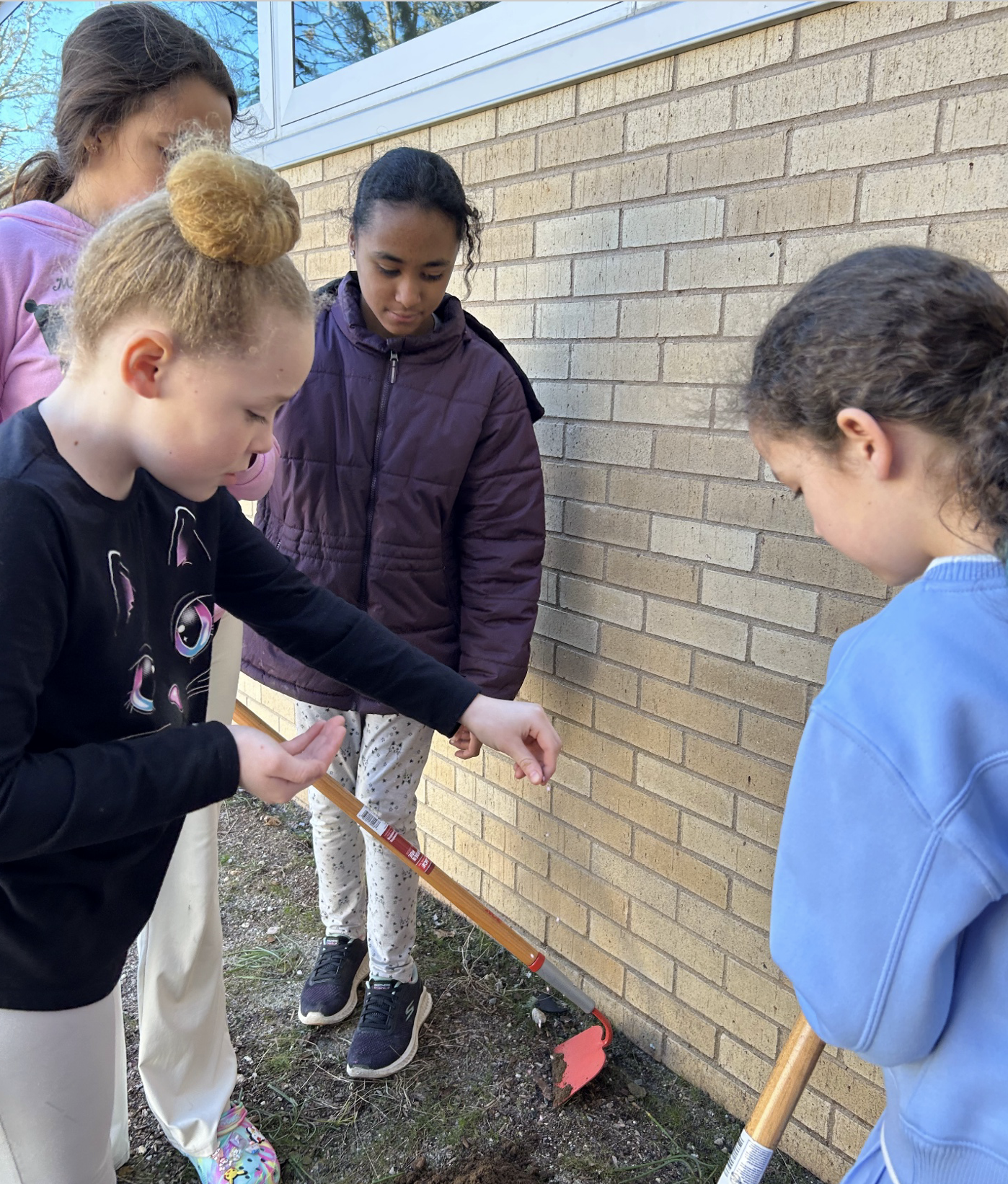 Screenshot 2026-04-01 at 7.56.25 AM.png