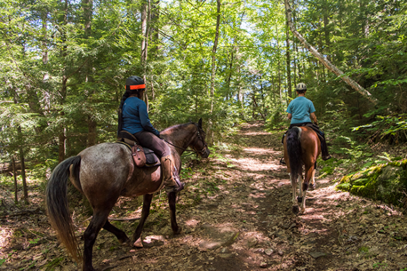 Indian Education Department Invites Grade 4–5 Students to Horseback Riding Lessons