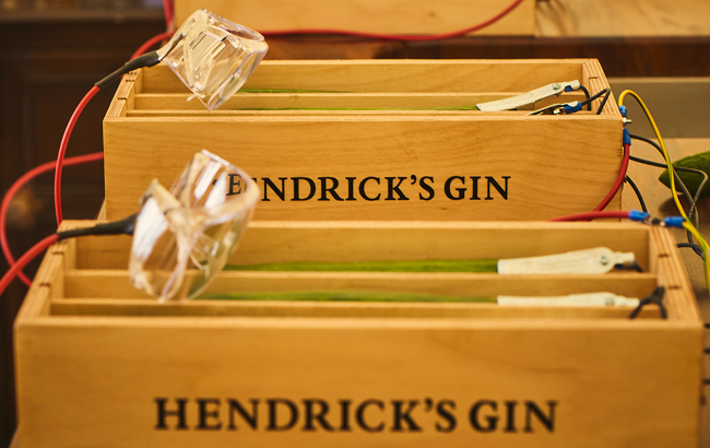 MYK001_Hendricks02.jpg