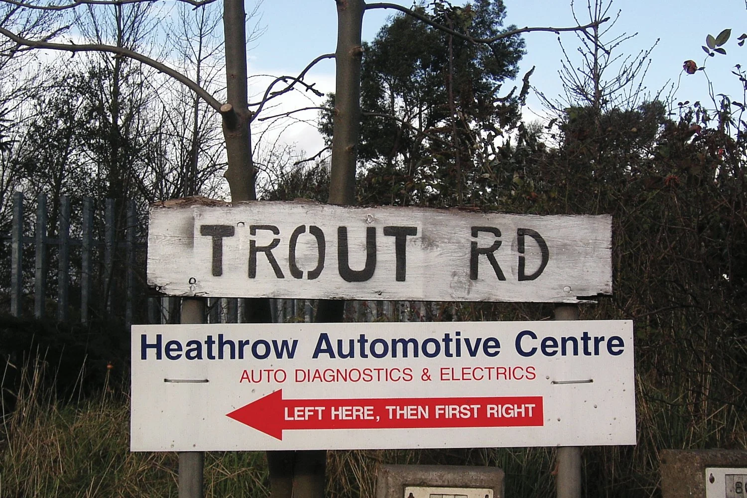 Streats of London – Trout
