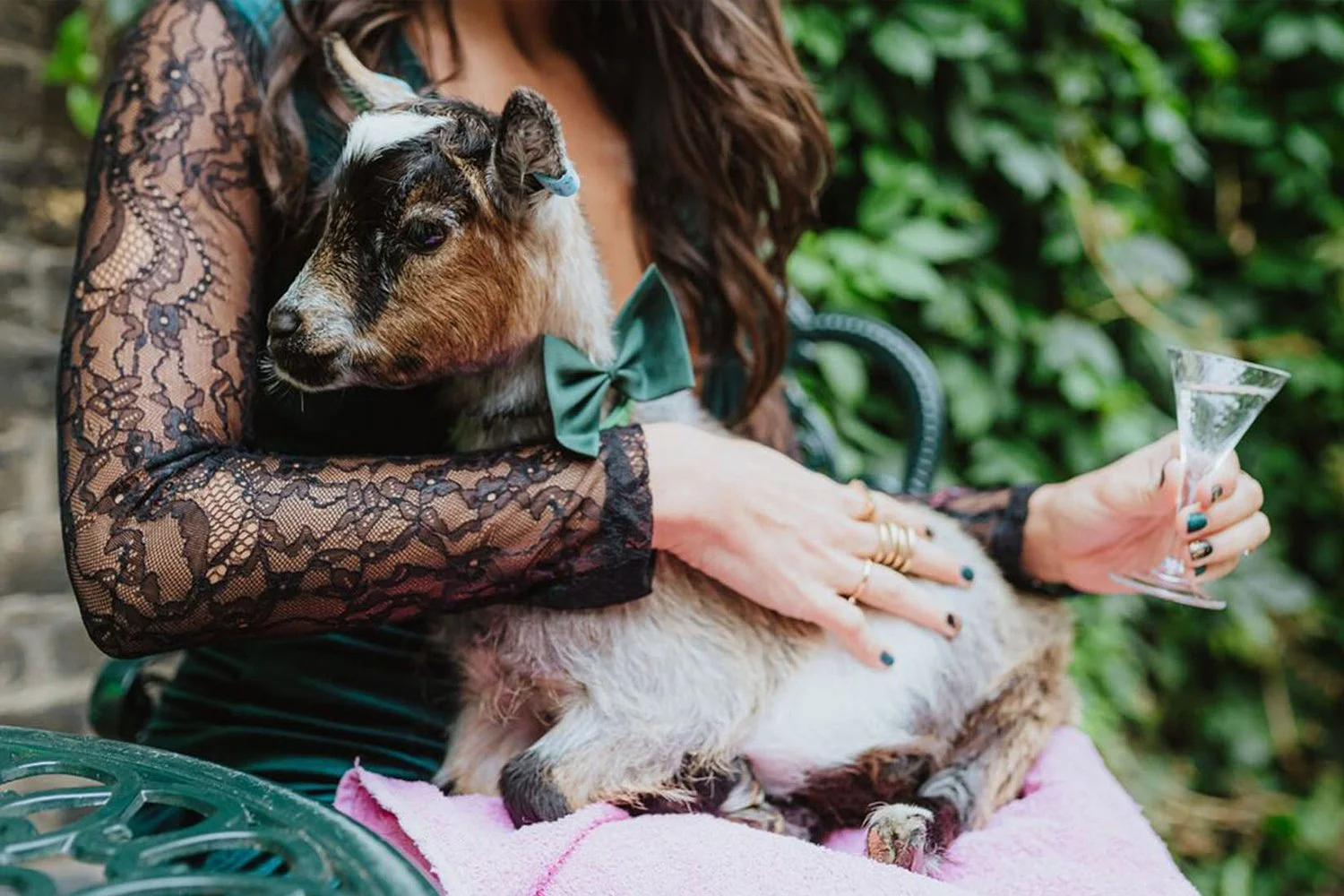 Hendrick's Gin – London Cocktail Week – Tini Martini Townhouse – pygmy goats
