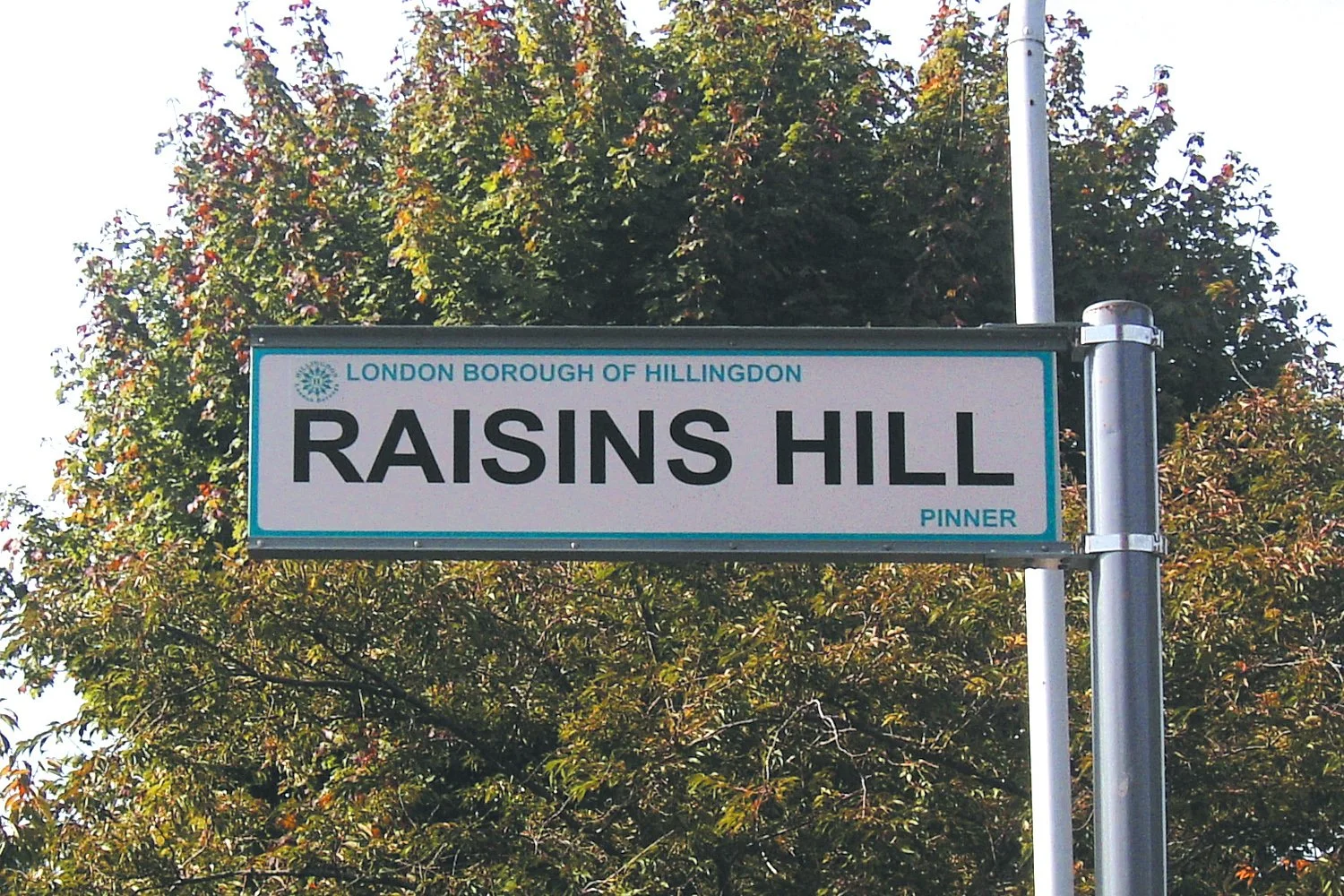 Streats of London – Raisins