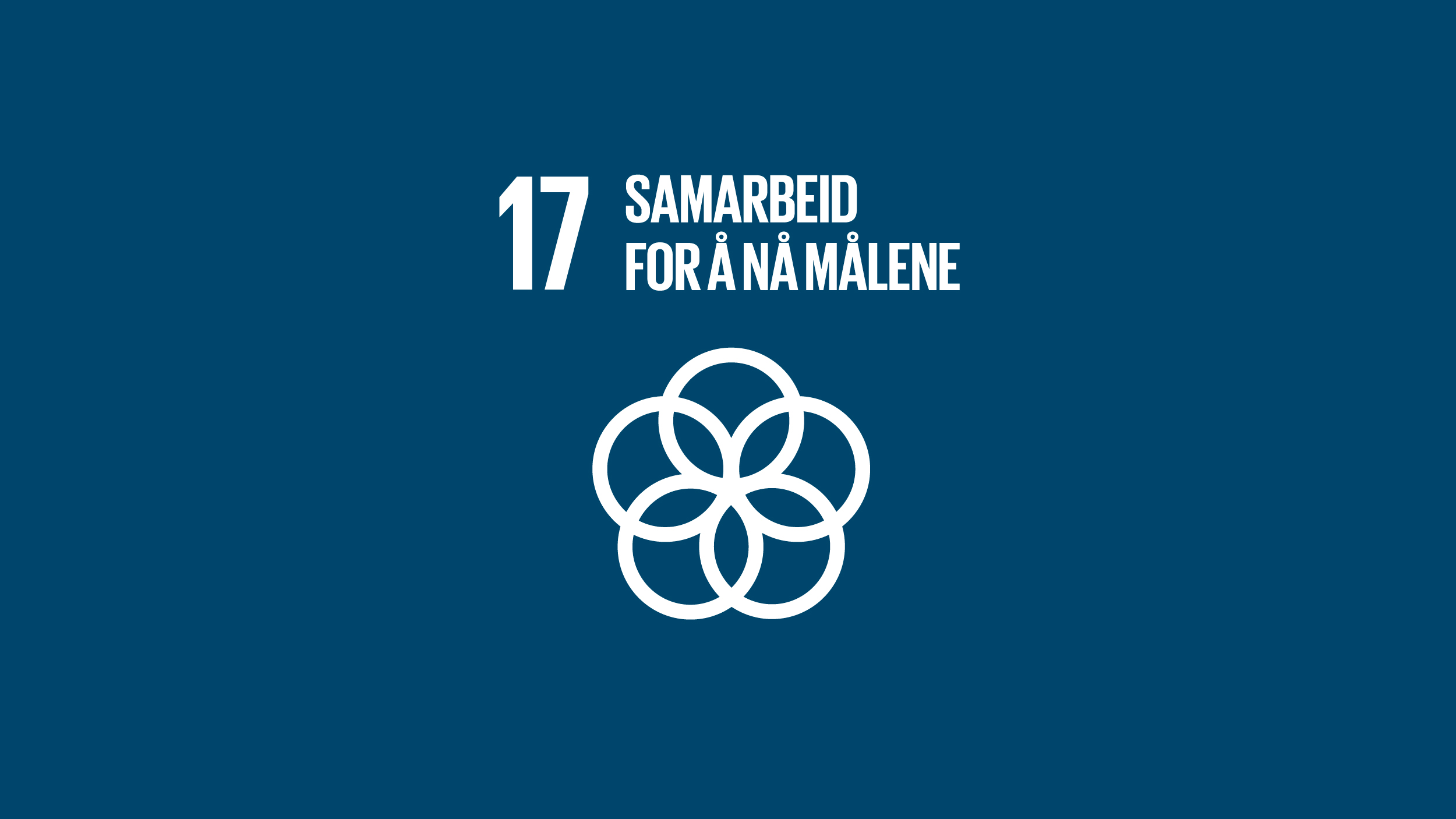 17 Samarbeid for å nå målene.png
