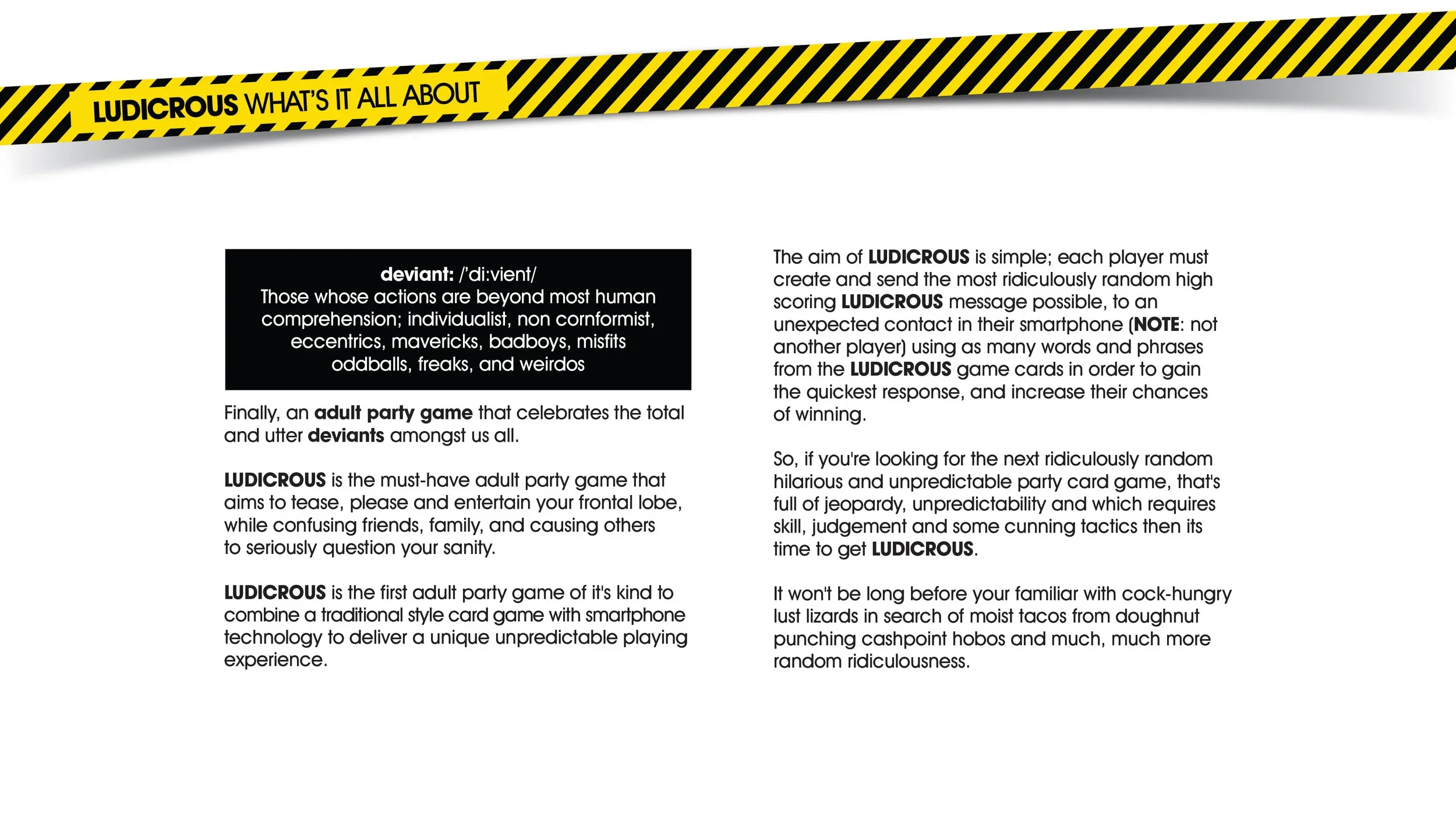 Ludicrous_REBOOT_Website_about (1).webp