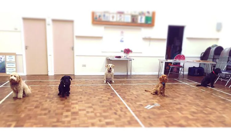 Group wait 2.jpg