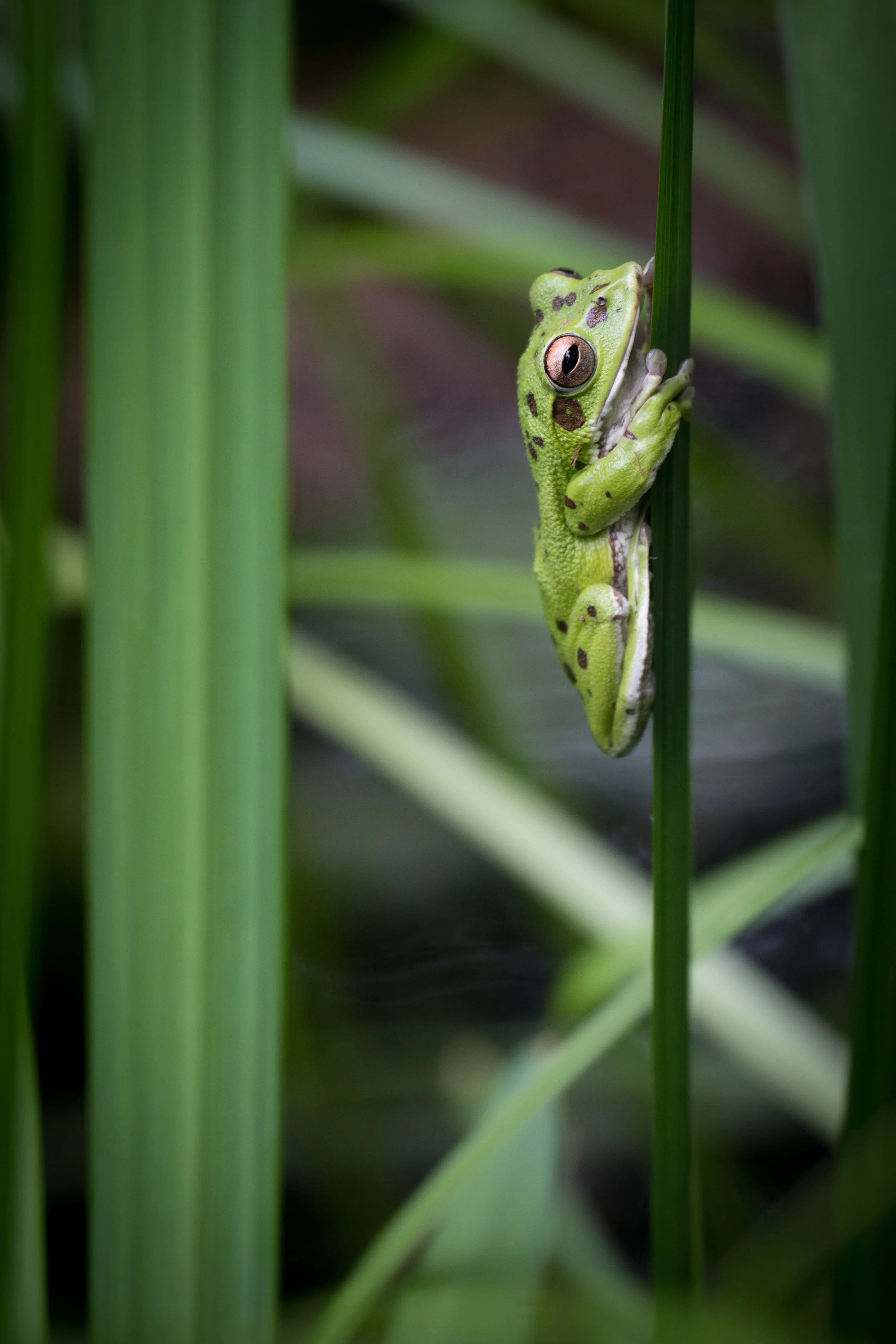 DSC_2316.JPG