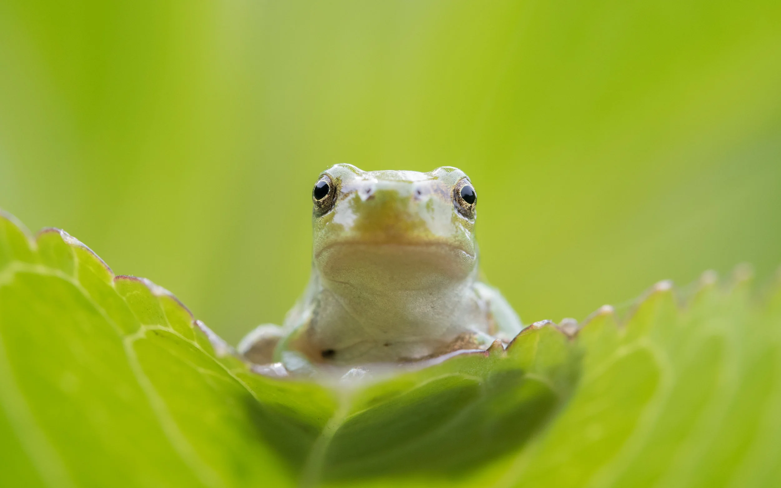 DSC_5937.JPG