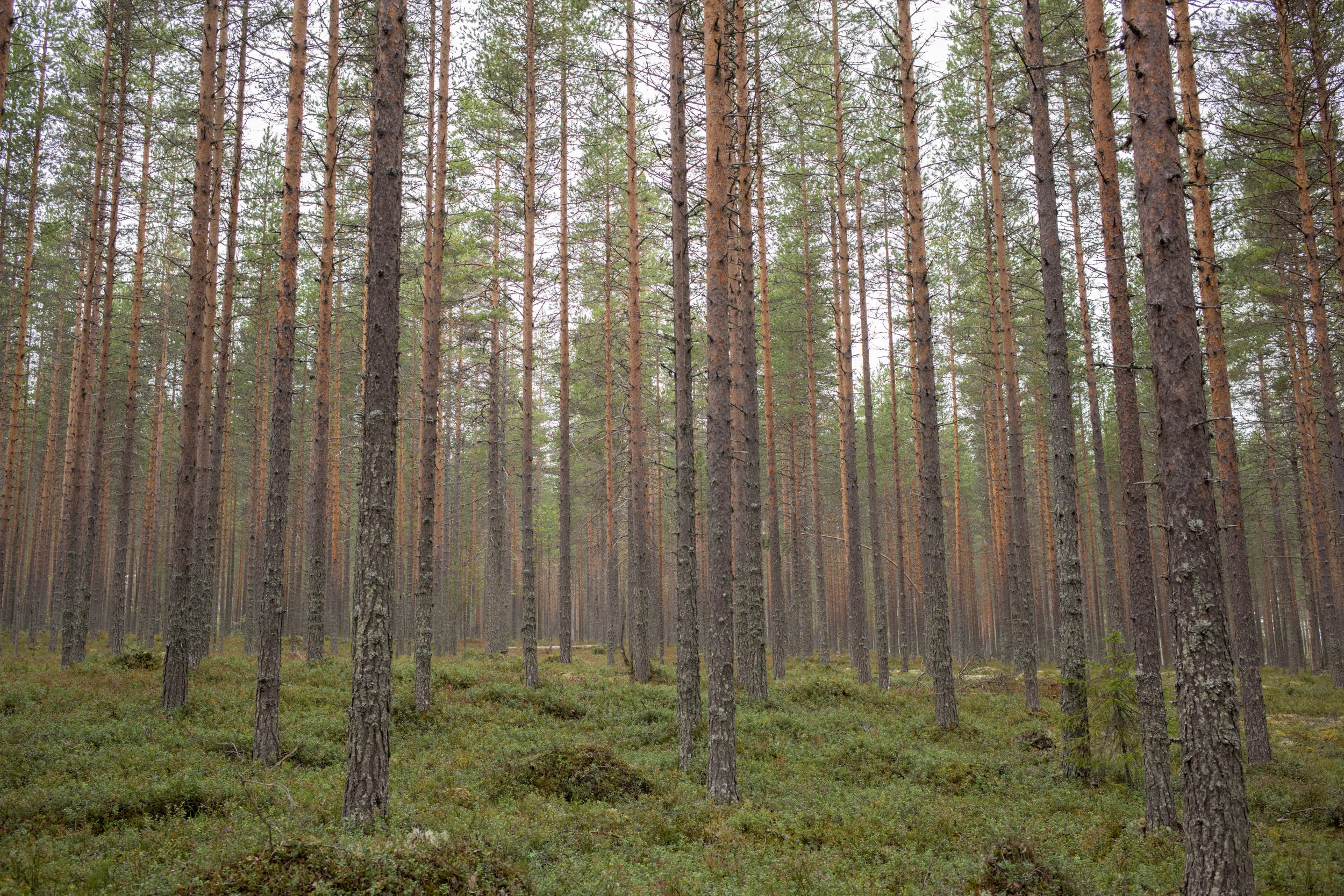 L1002588.JPG