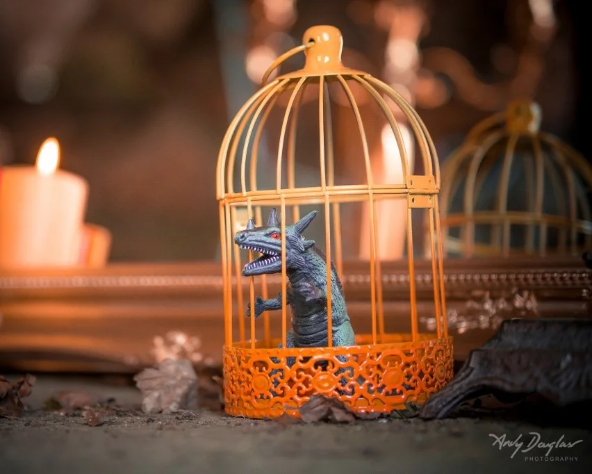 Why shouldn’t you have a little fun with your wedding decorations? From That Black and White Cat