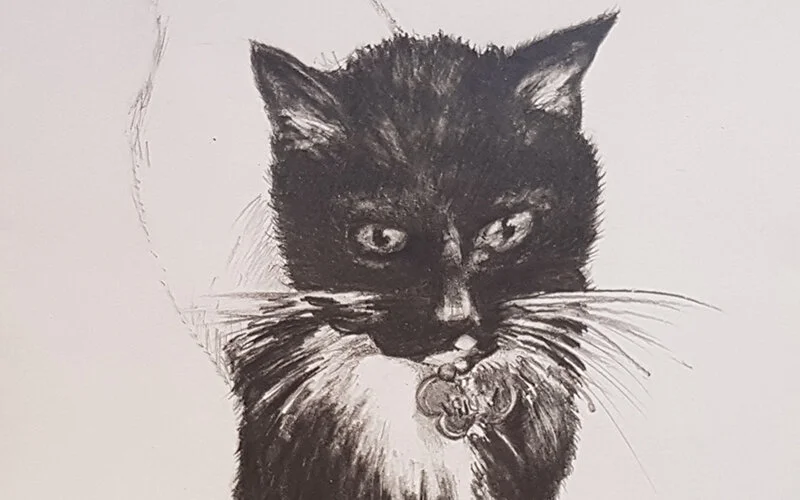20191102_144038_WEB.jpg