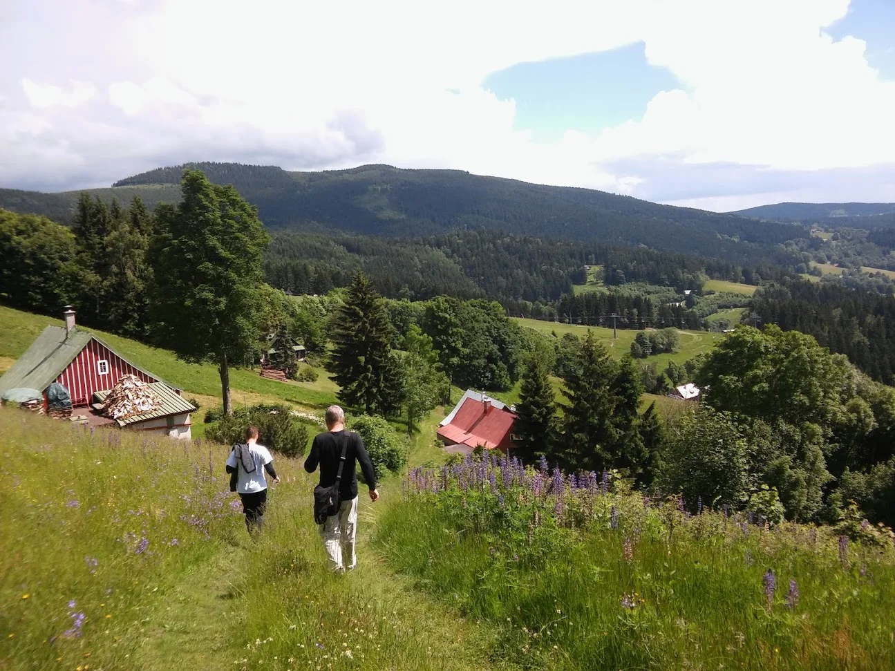 20160618_145418.jpg