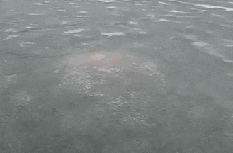 Ice.gif
