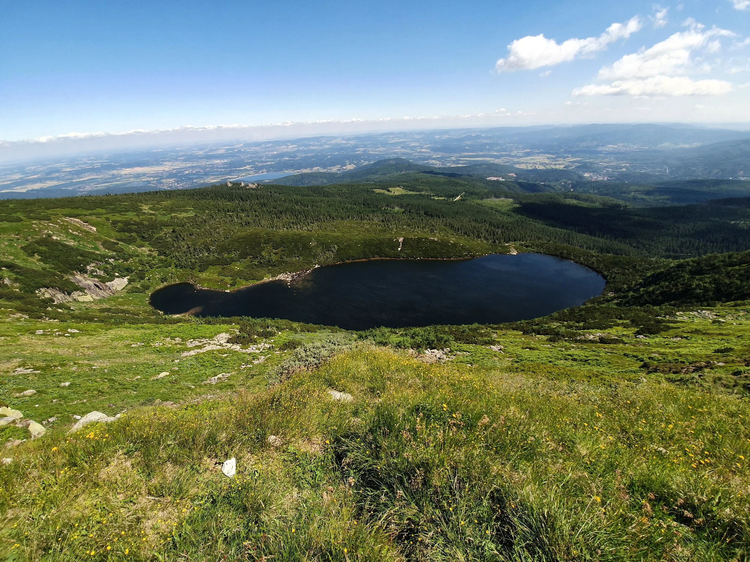 20190702_104822.jpg