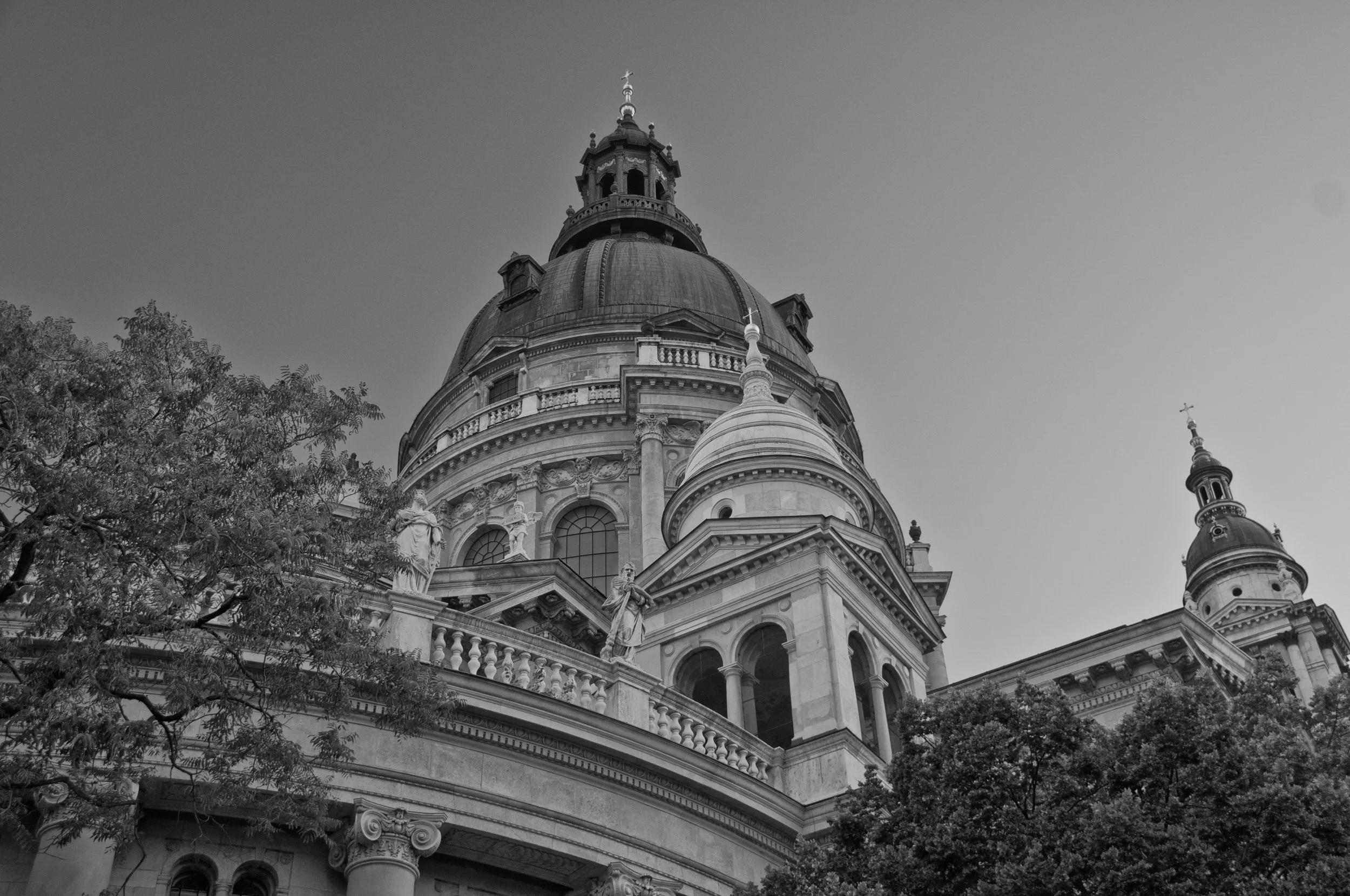DSC_5863a.jpg