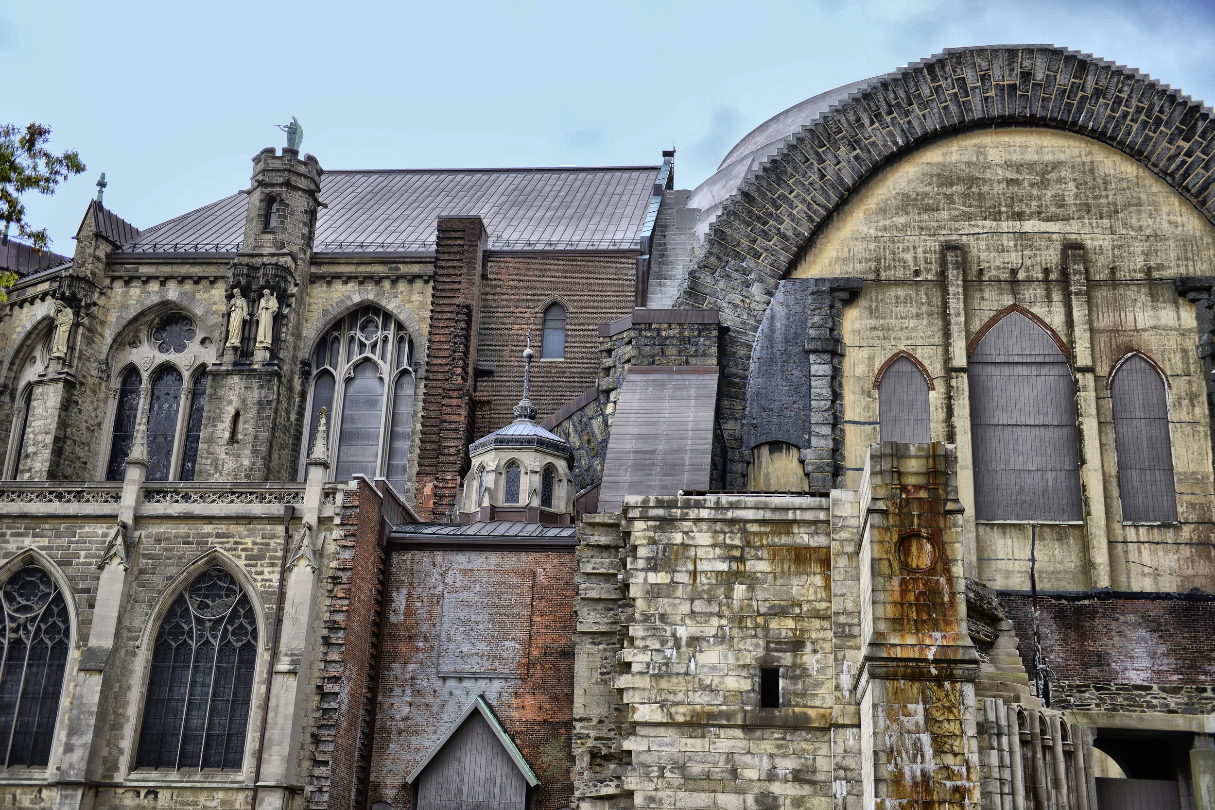 _DSC4436A.jpg