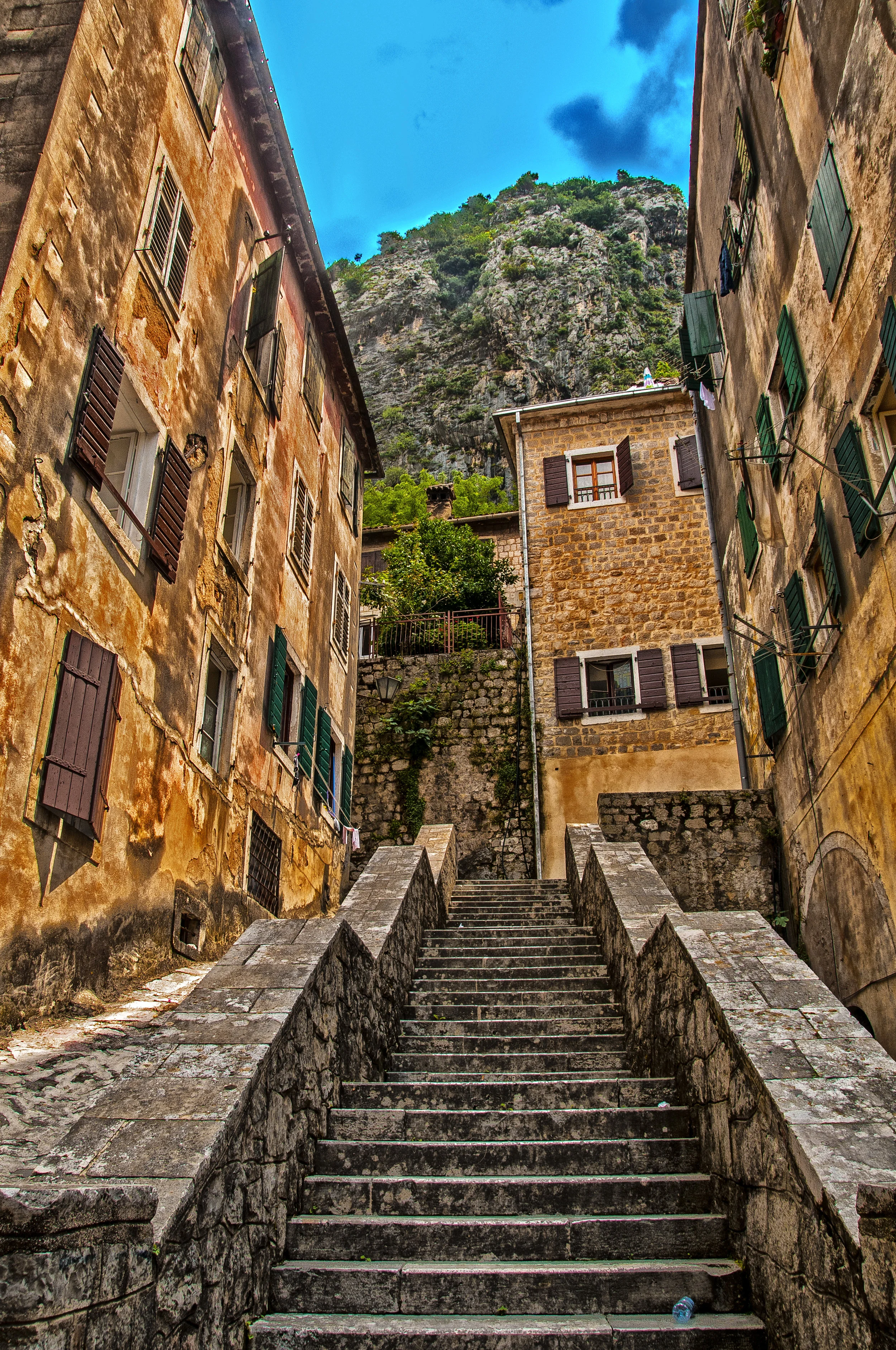 DSC_1124A.jpg