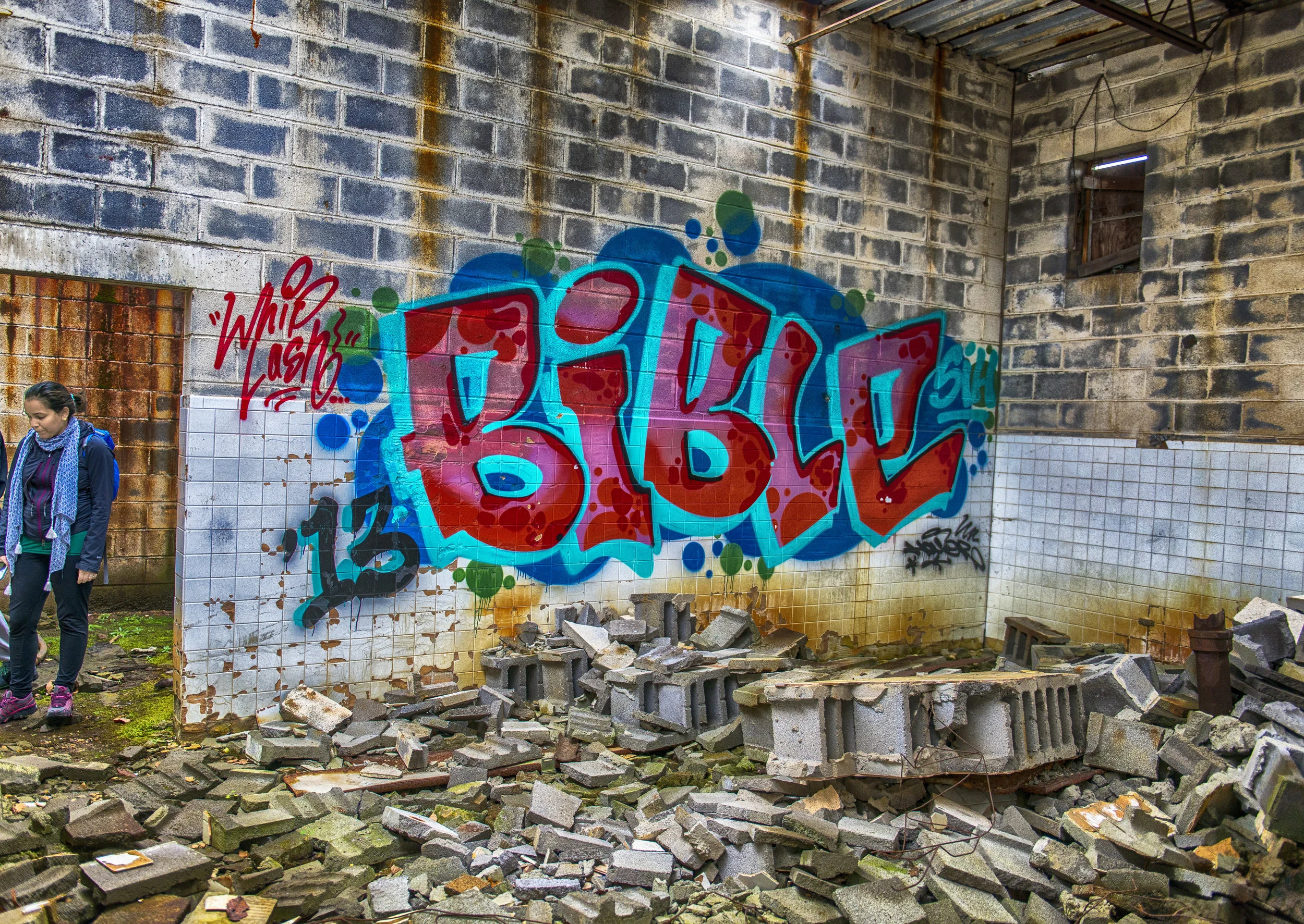 _DSC3513hdr.jpg