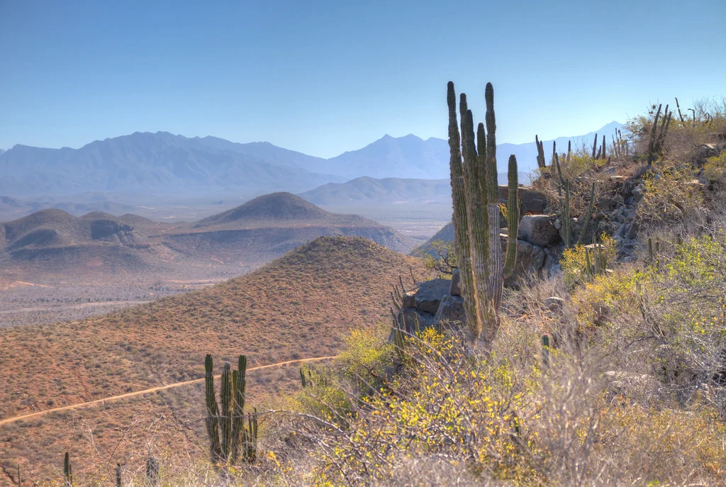 bajadesert.jpg