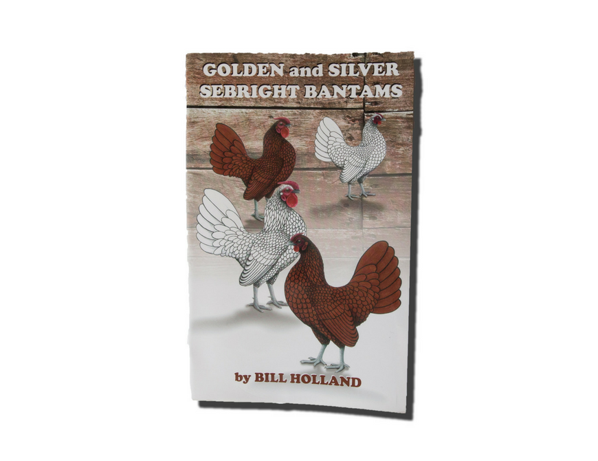 Golden and Silver Sebright Bantams by Bill Holland 
