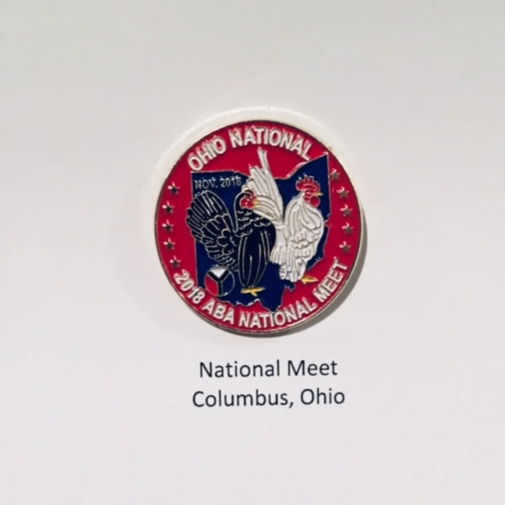 2018 National Pin.JPG