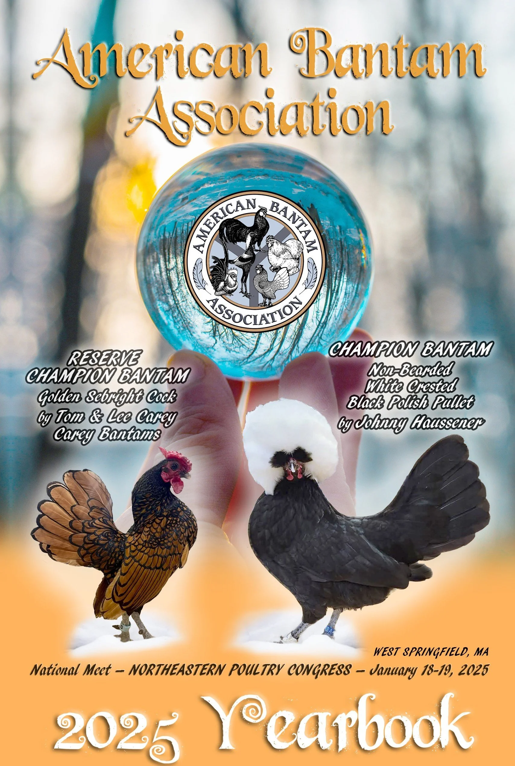 jpeg 2025 ABA Yearbook Cover.jpg