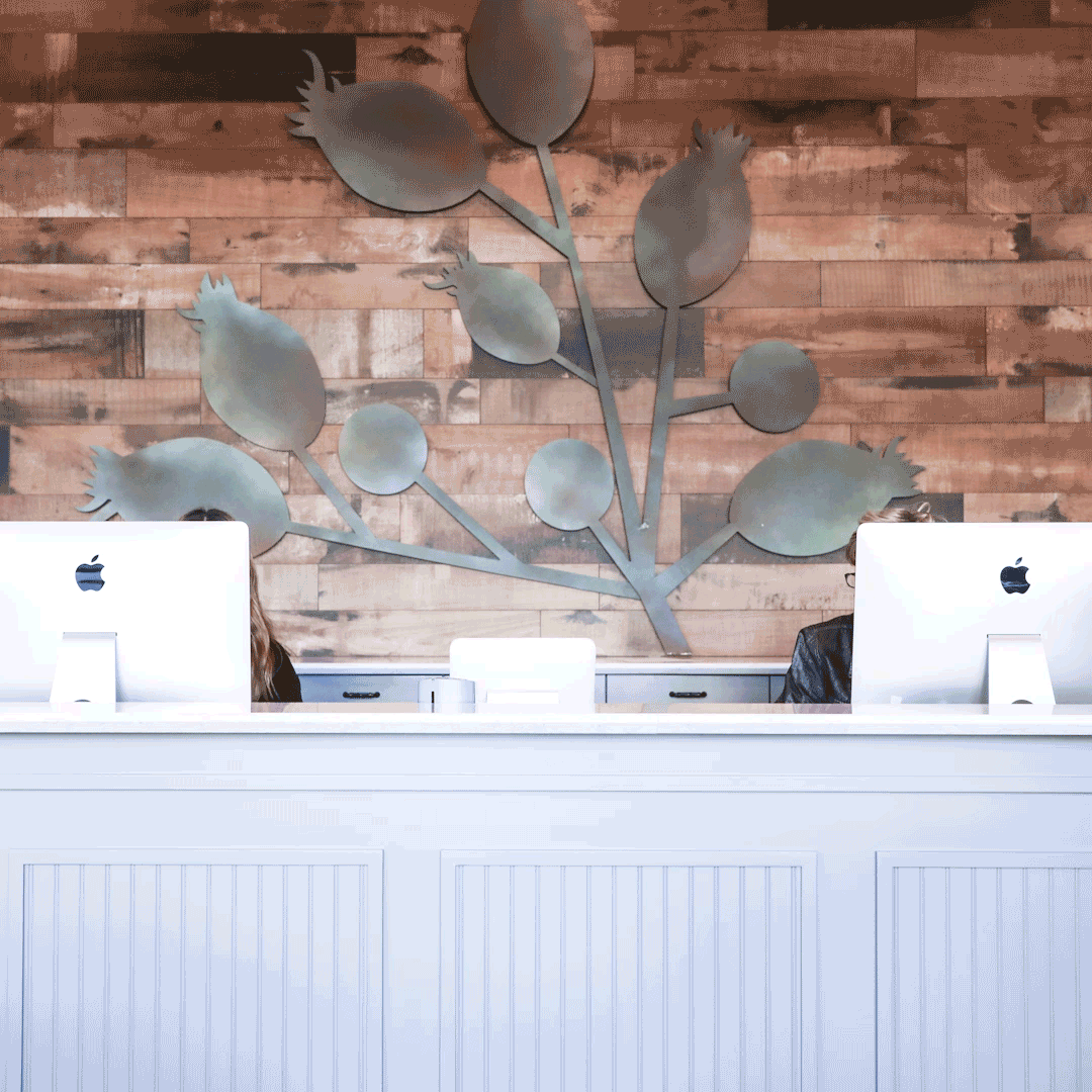 FreshCoastCollective_KrengelDental_Blog1.gif
