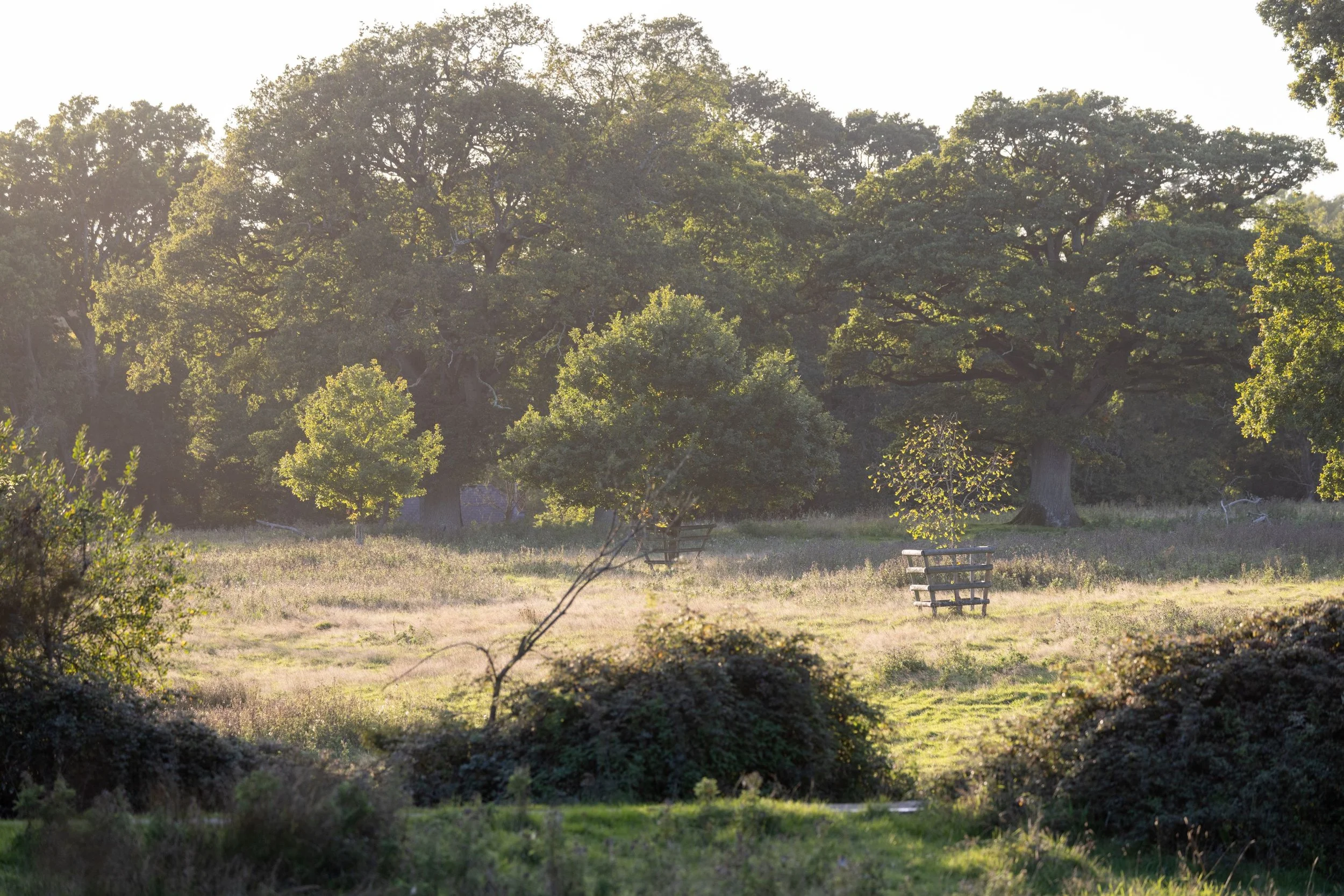 Why Should we Care about Nature? (Oxford, UK)