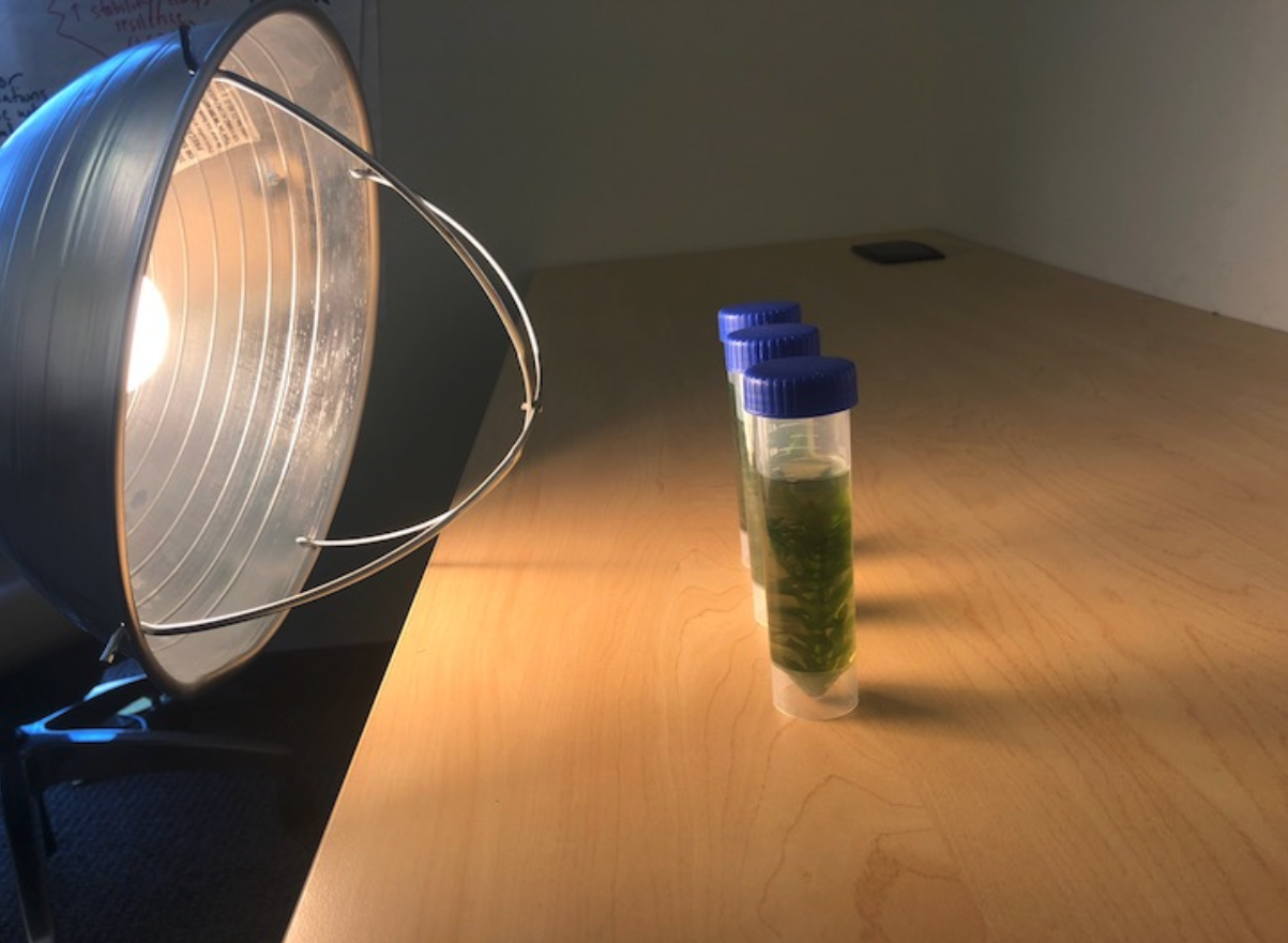 B.2 Investigation.png