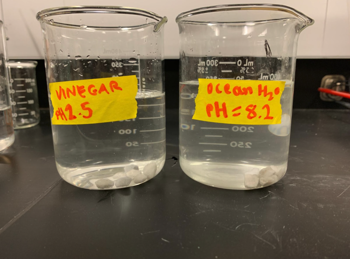 C.4 Investigation.png