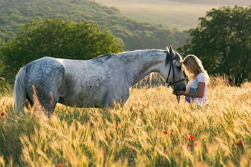 Horse and Woman.jpg