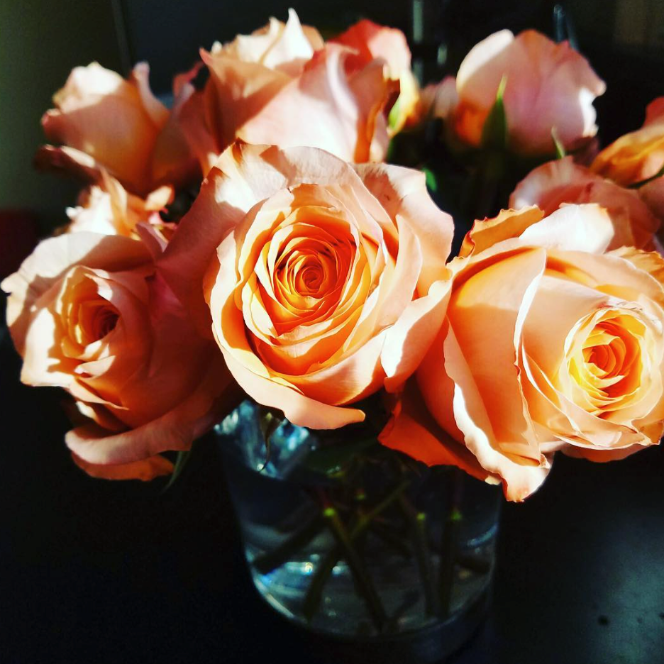 Screen Shot 2017-09-26 at 11.04.19 AM.png