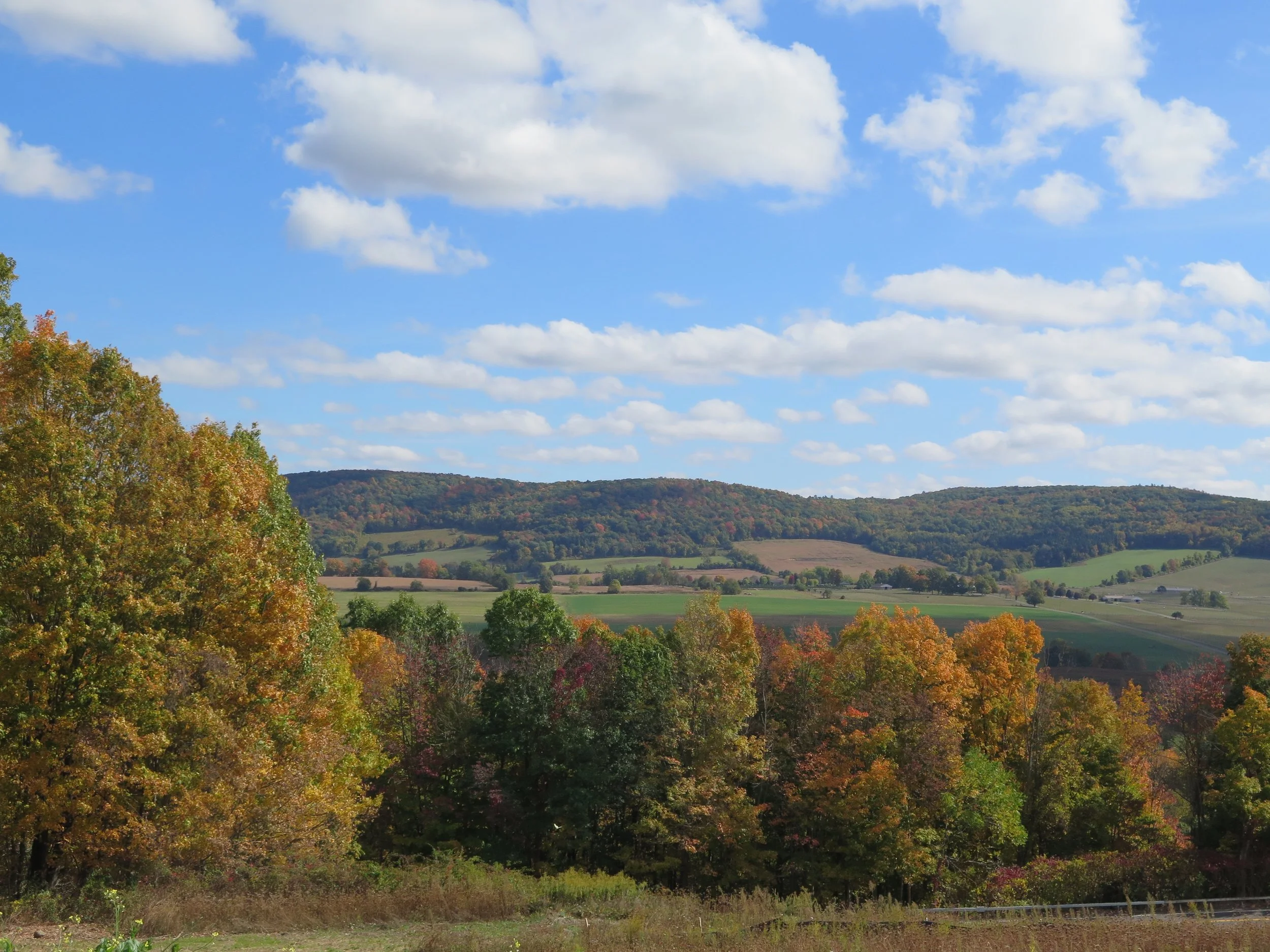 Millbrook, New York Fall 2016