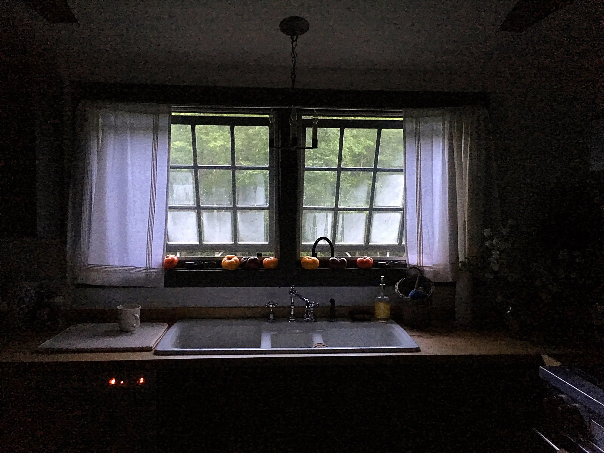 Early morning view of tomatoes on the sill of Starlight Farm. In the very close distance, I hear the roar of our waterfall.