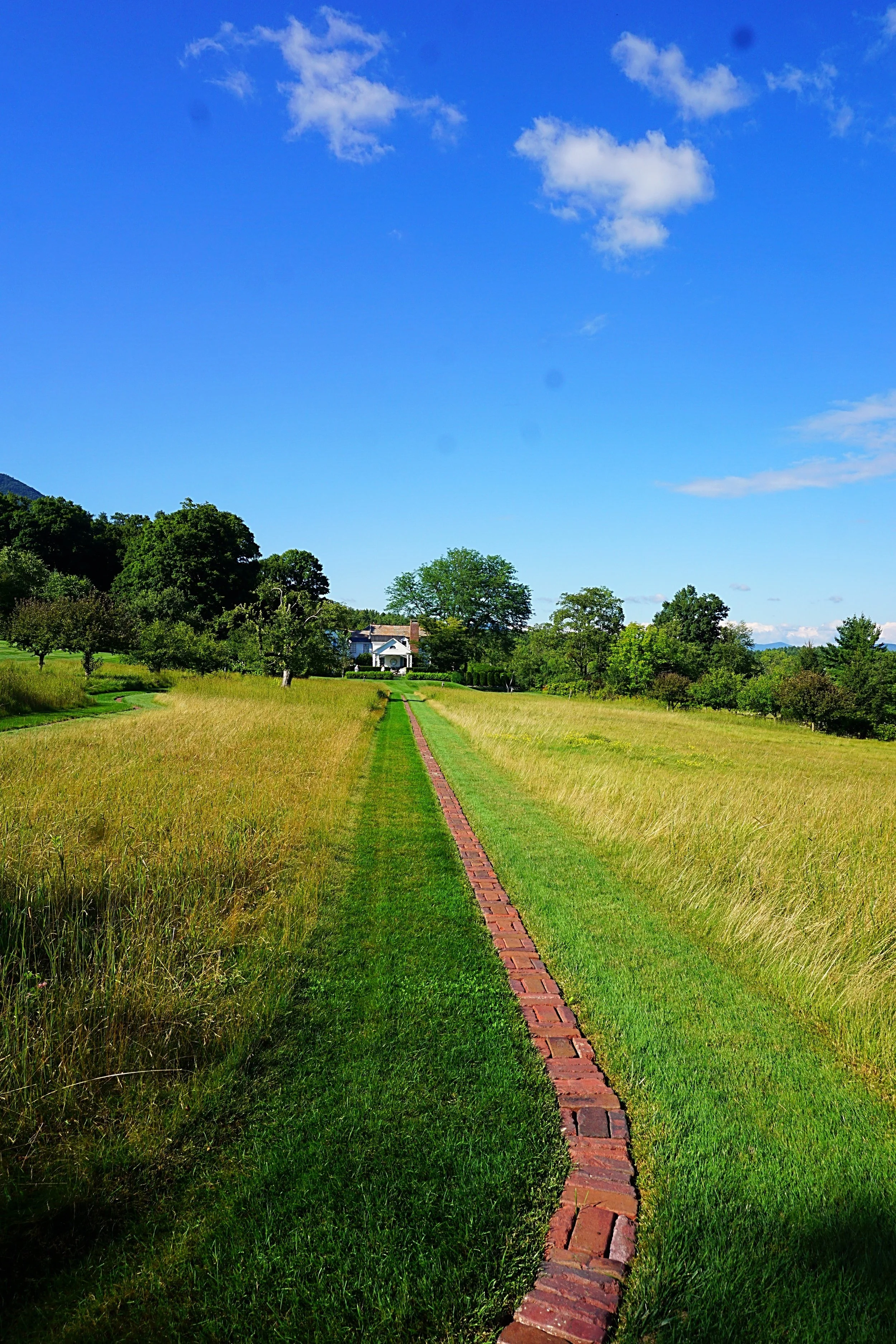 Bancroft Barrington