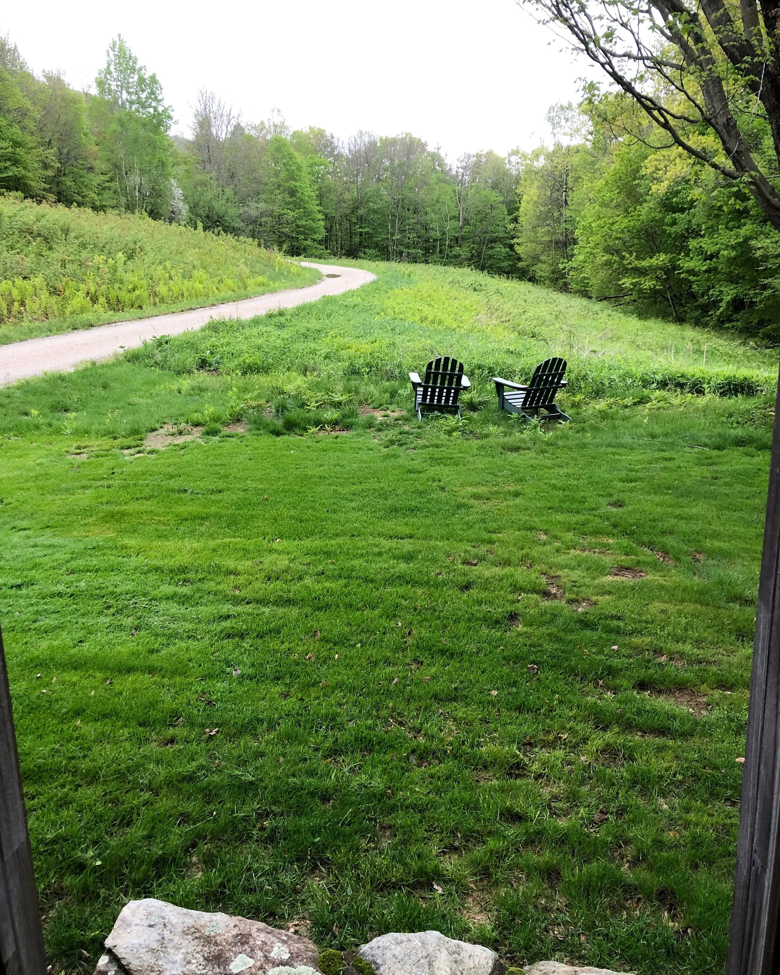 This is my favorite morning view. I like to sit in the living room before anyone else is up with a cup of tea and watch the day arrive.